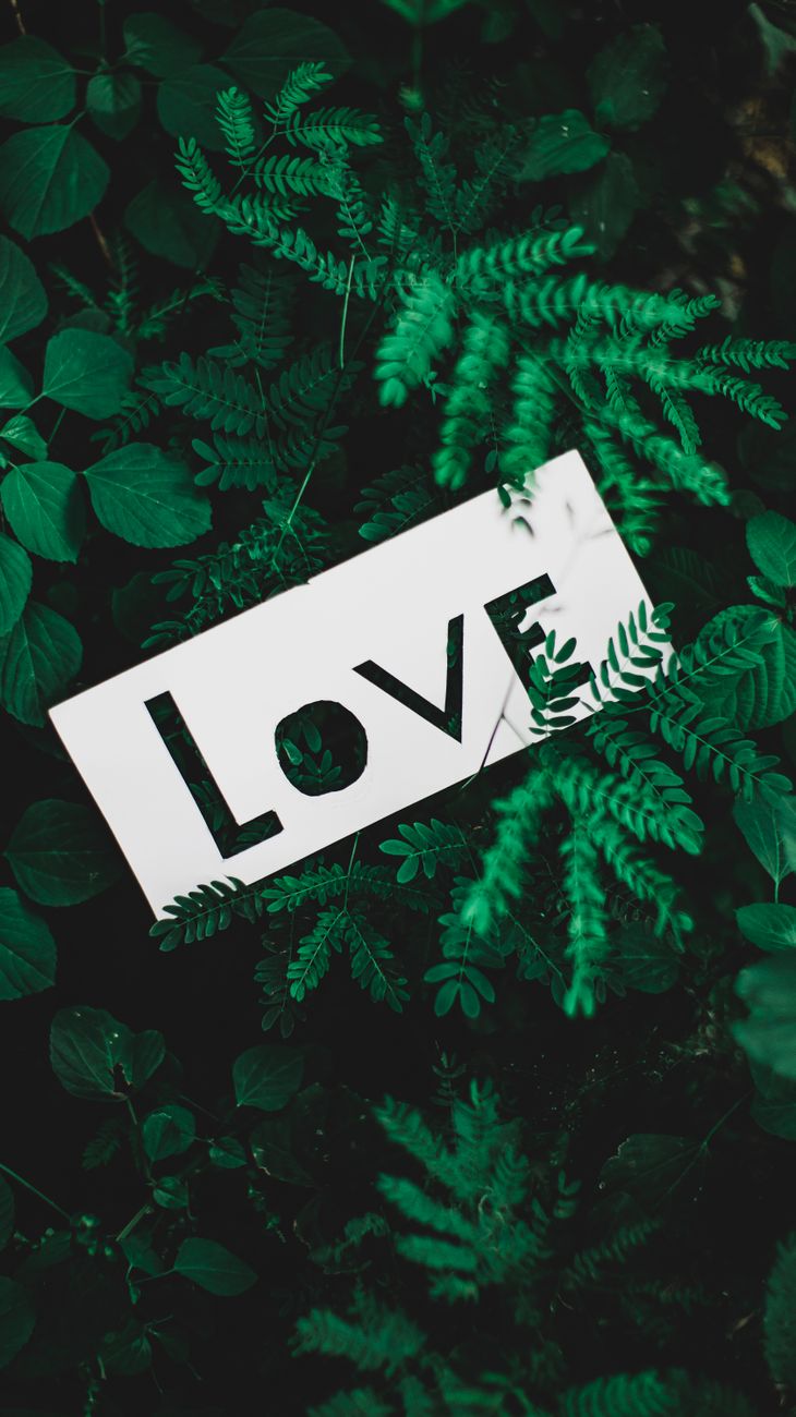 A white 'Love' sign among vibrant green fern leaves creating a natural and heartfelt atmosphere.