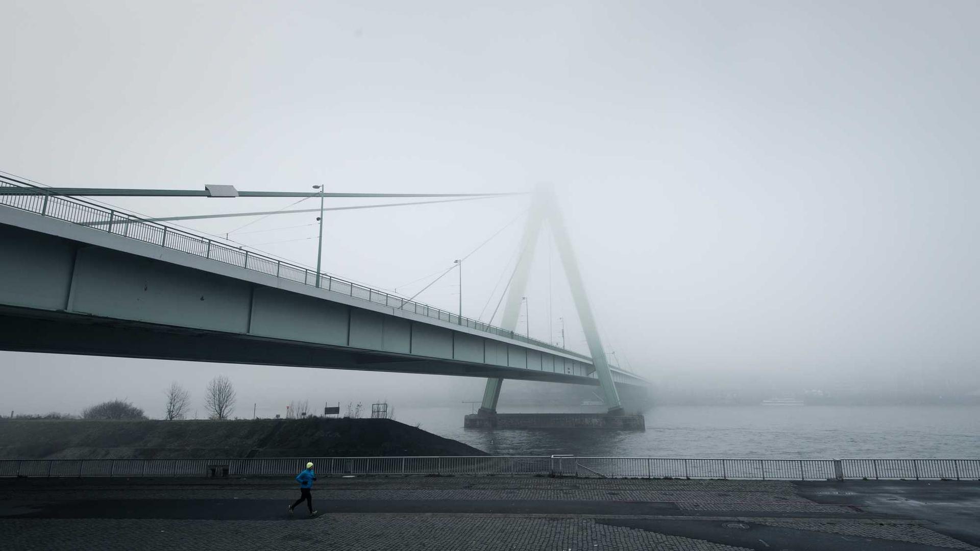 Random image from Lorem Picsum