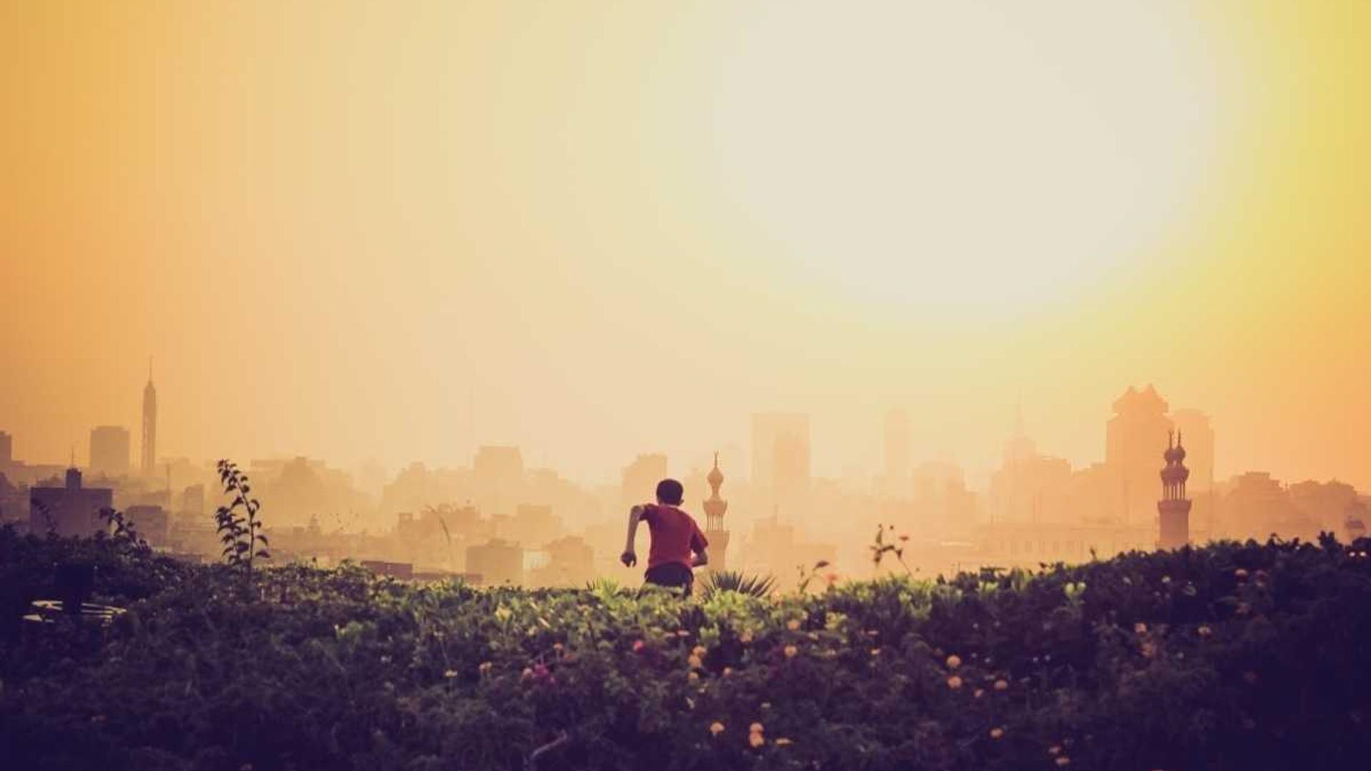 Random image from Lorem Picsum