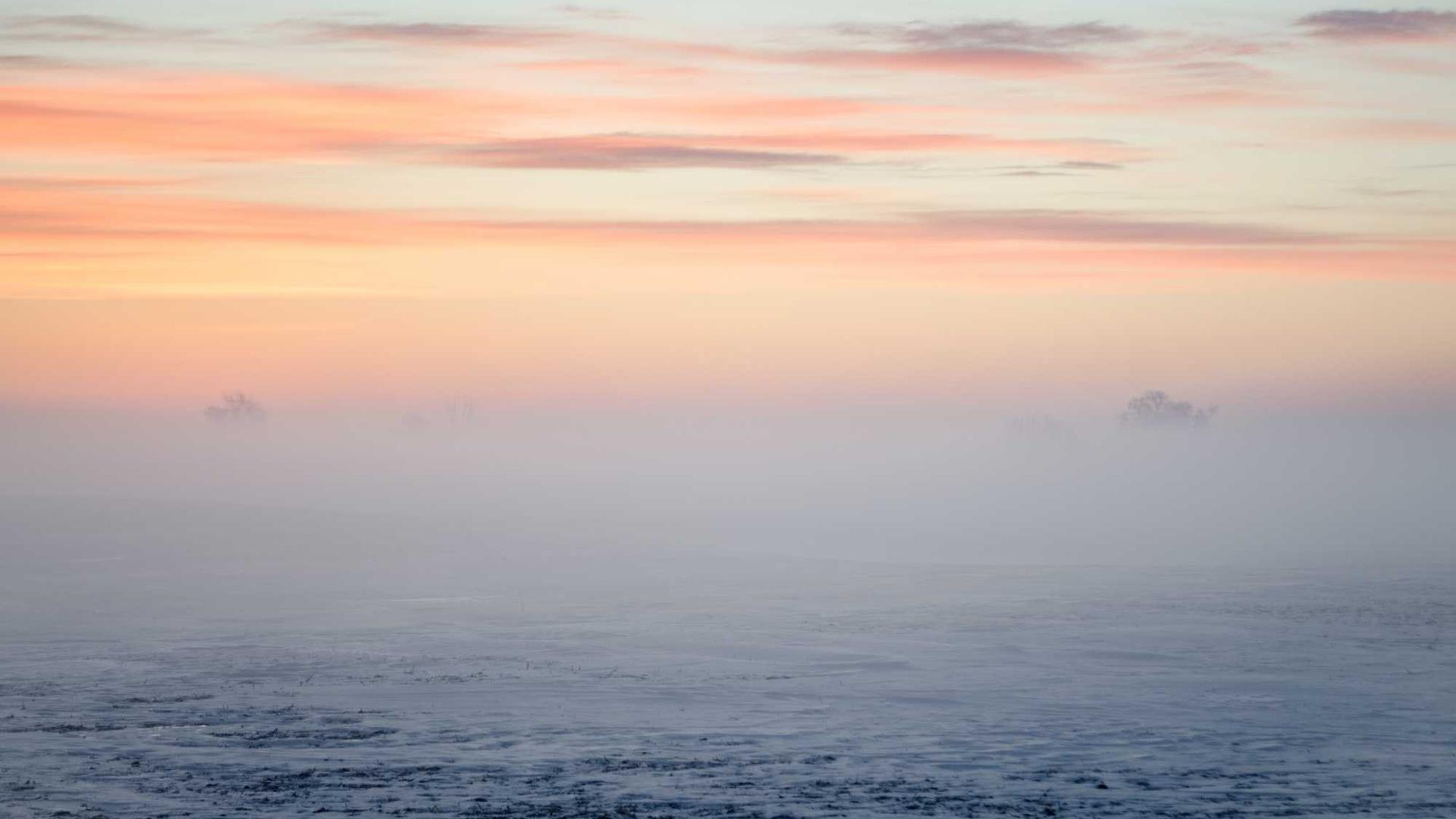 Random image from Lorem Picsum