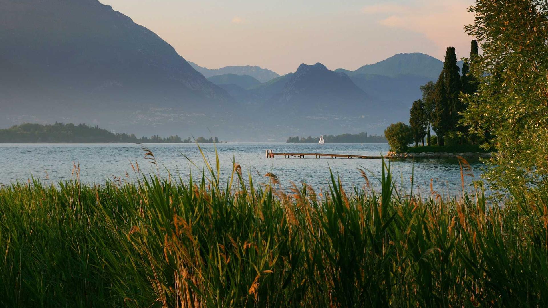 Random image from Lorem Picsum