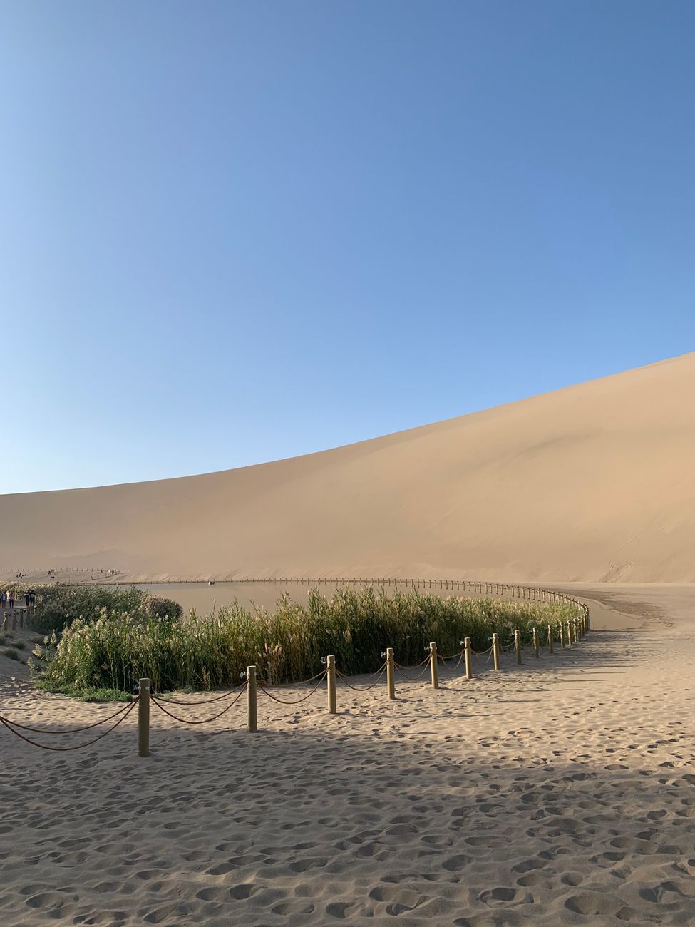 A tranquil oasis surrounded by vast sand dunes under a clear blue sky.