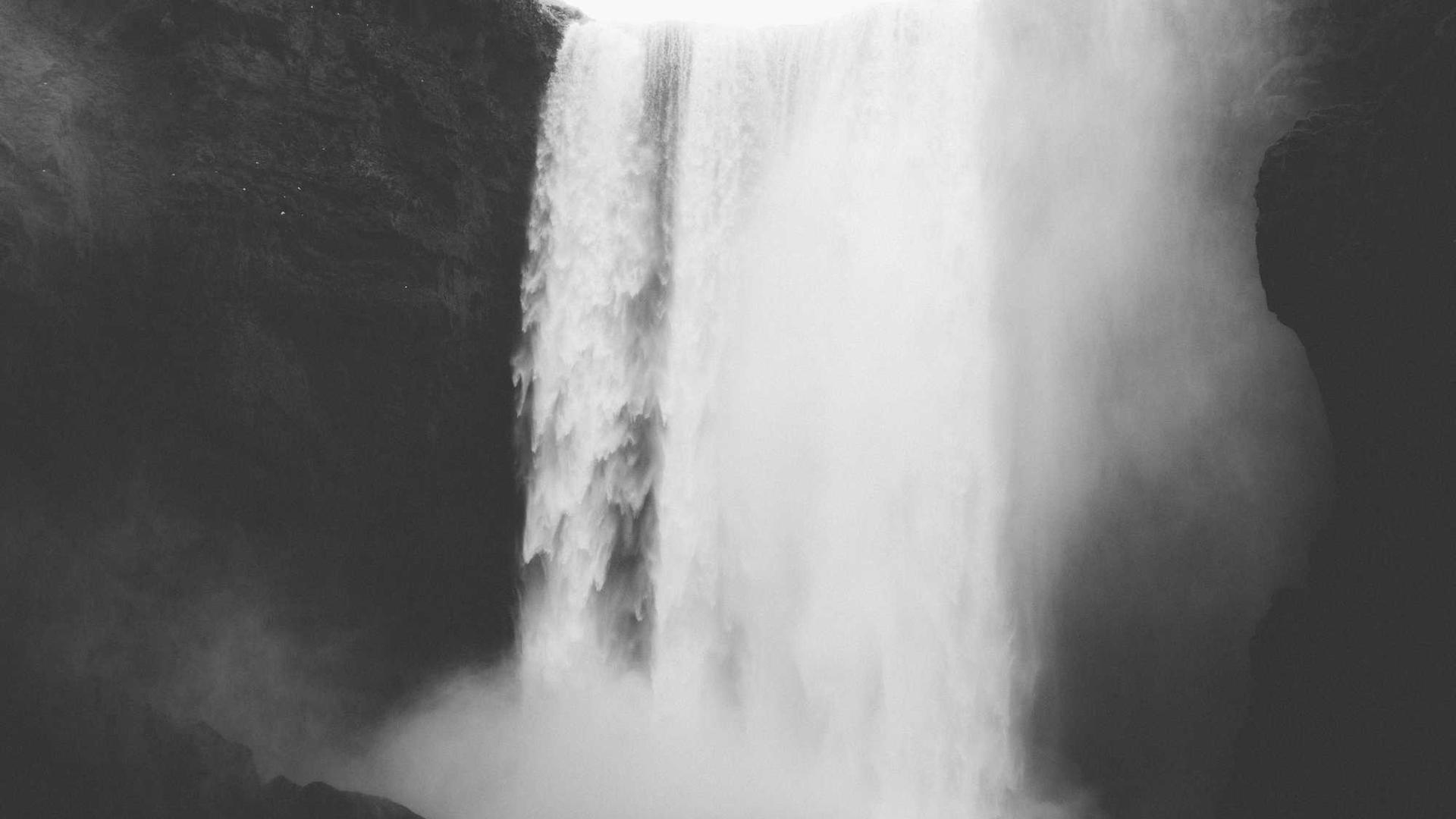 Random image from Lorem Picsum