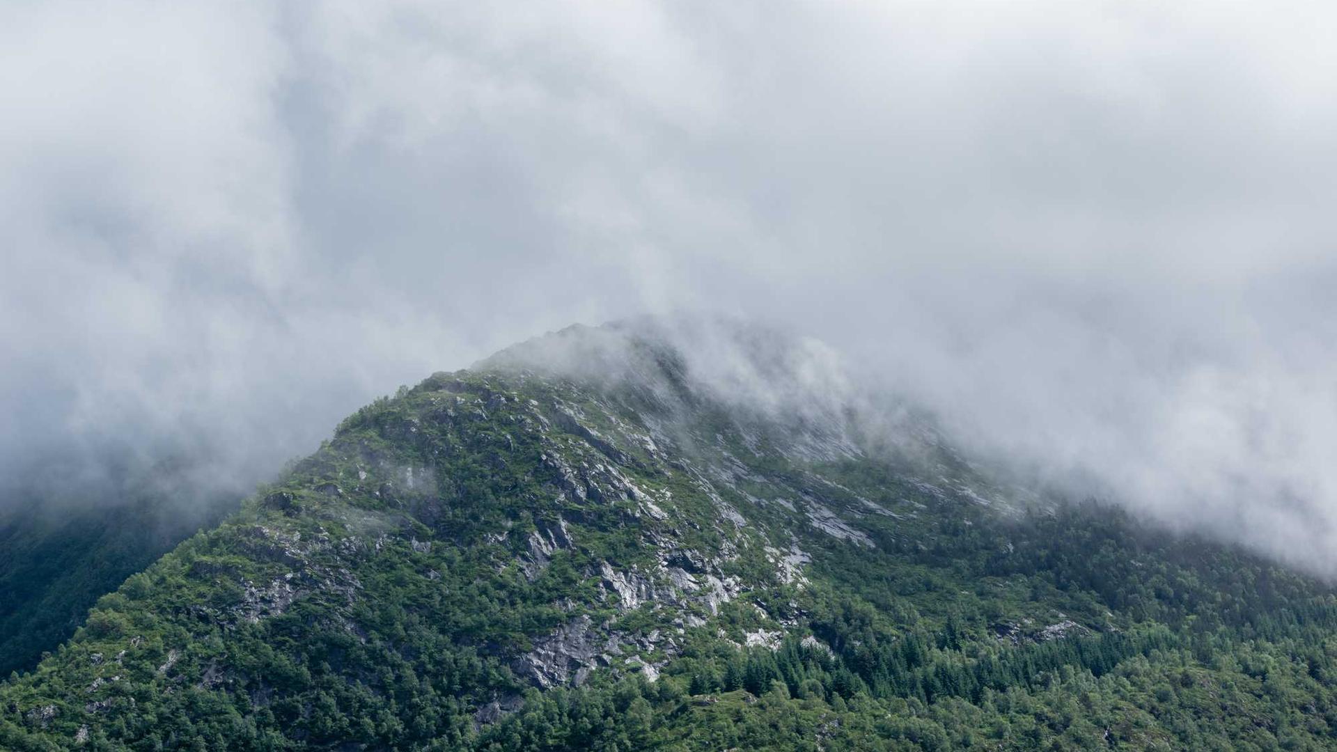 Random image from Lorem Picsum