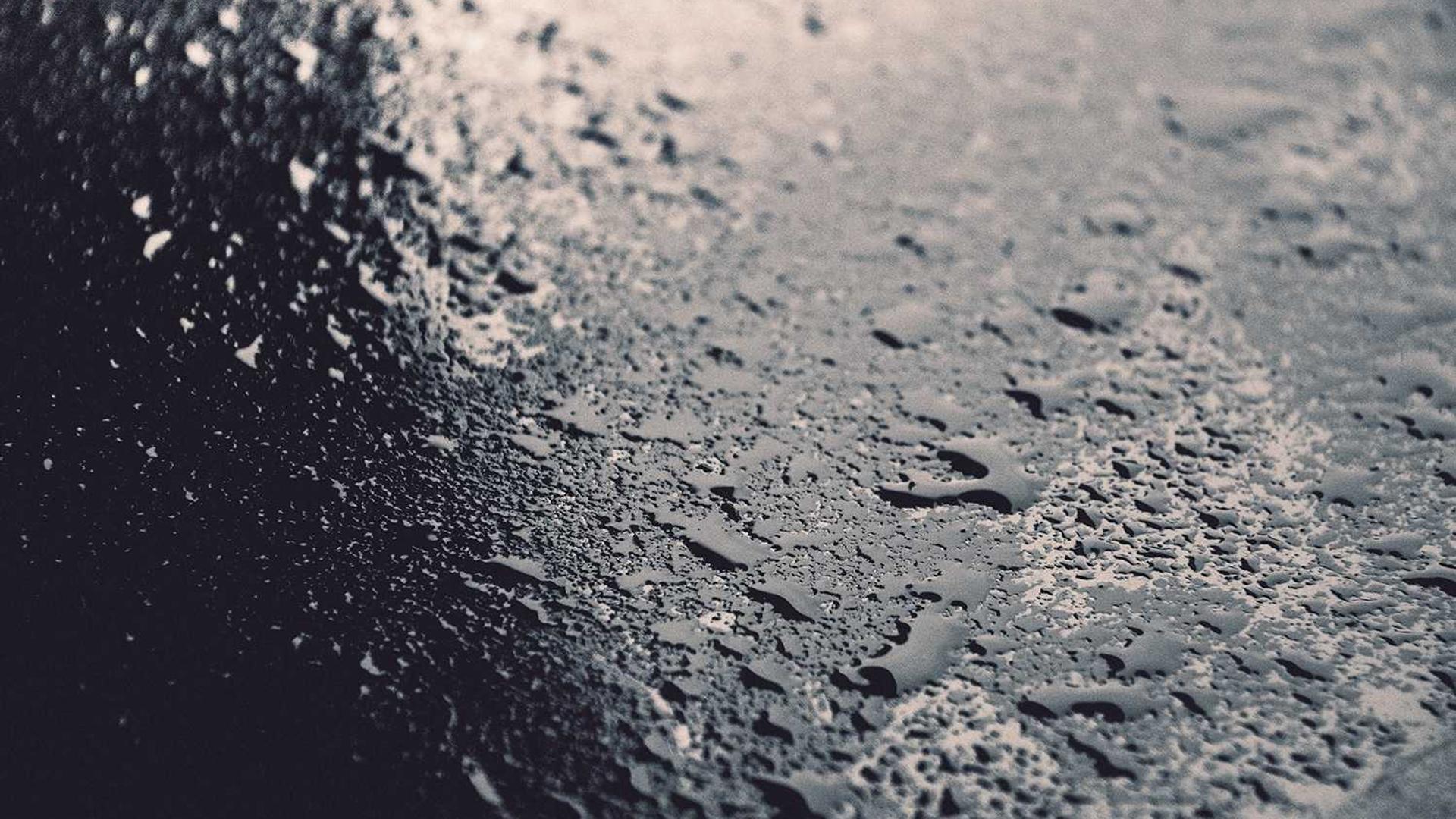 Random image from Lorem Picsum