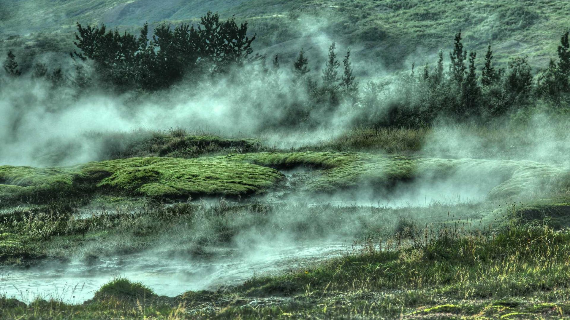 Random image from Lorem Picsum