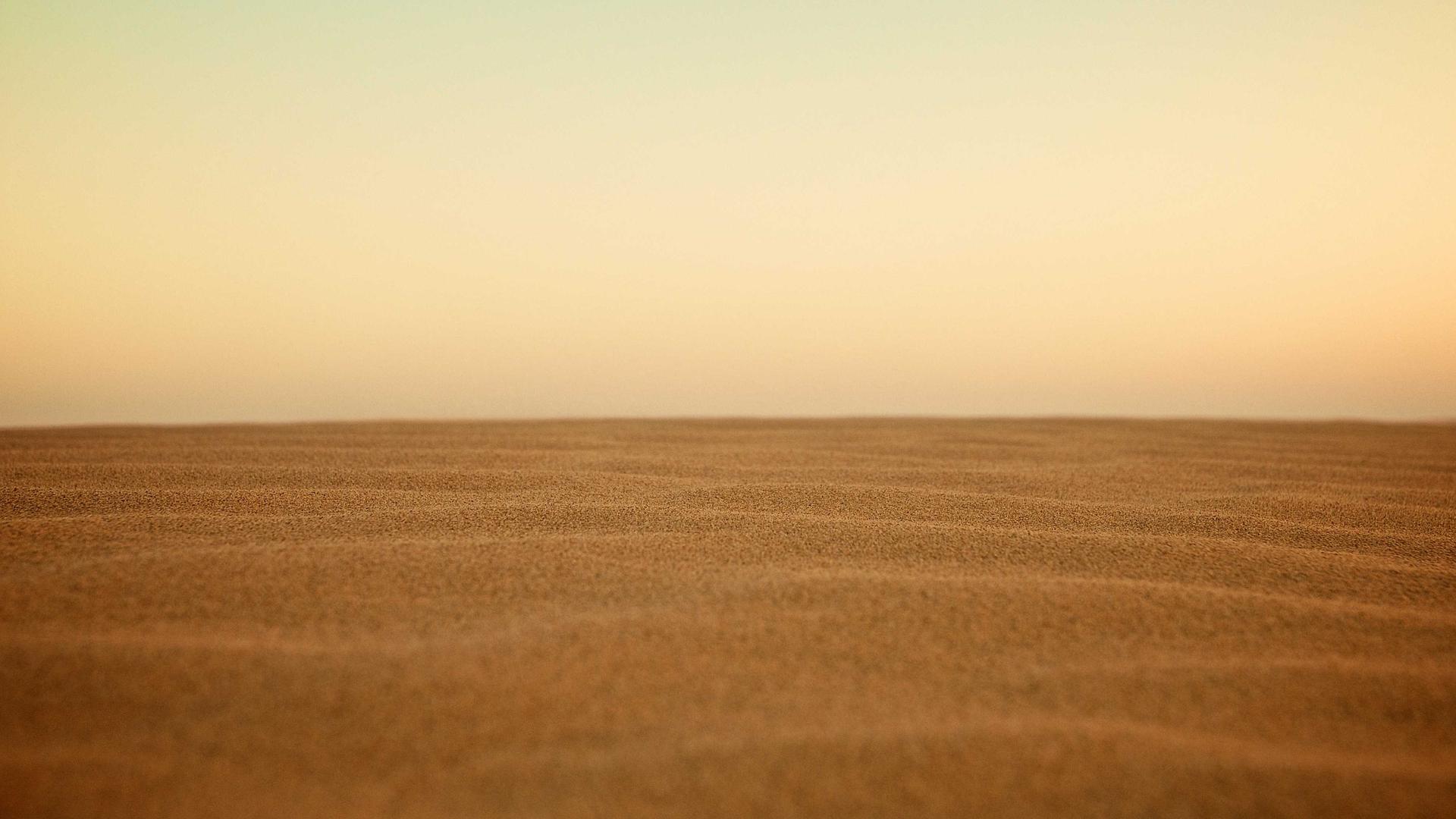 Random image from Lorem Picsum