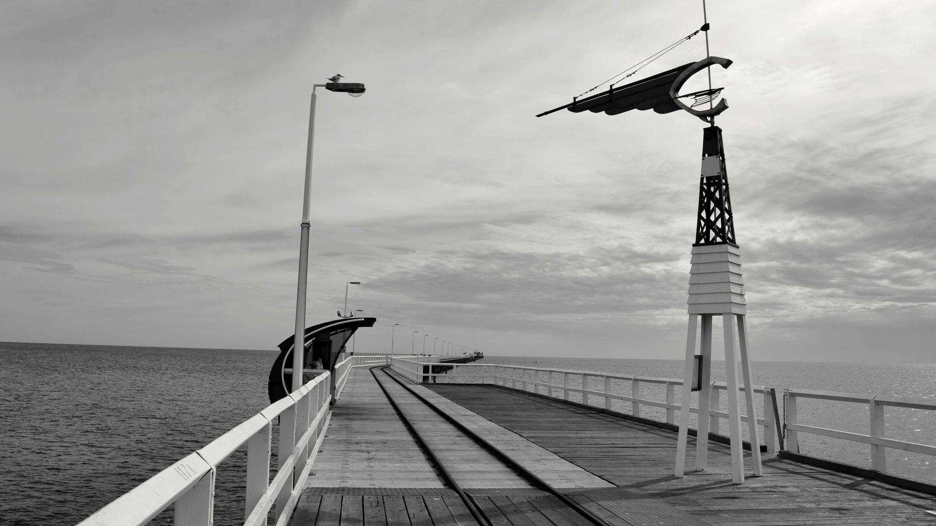 Random image from Lorem Picsum