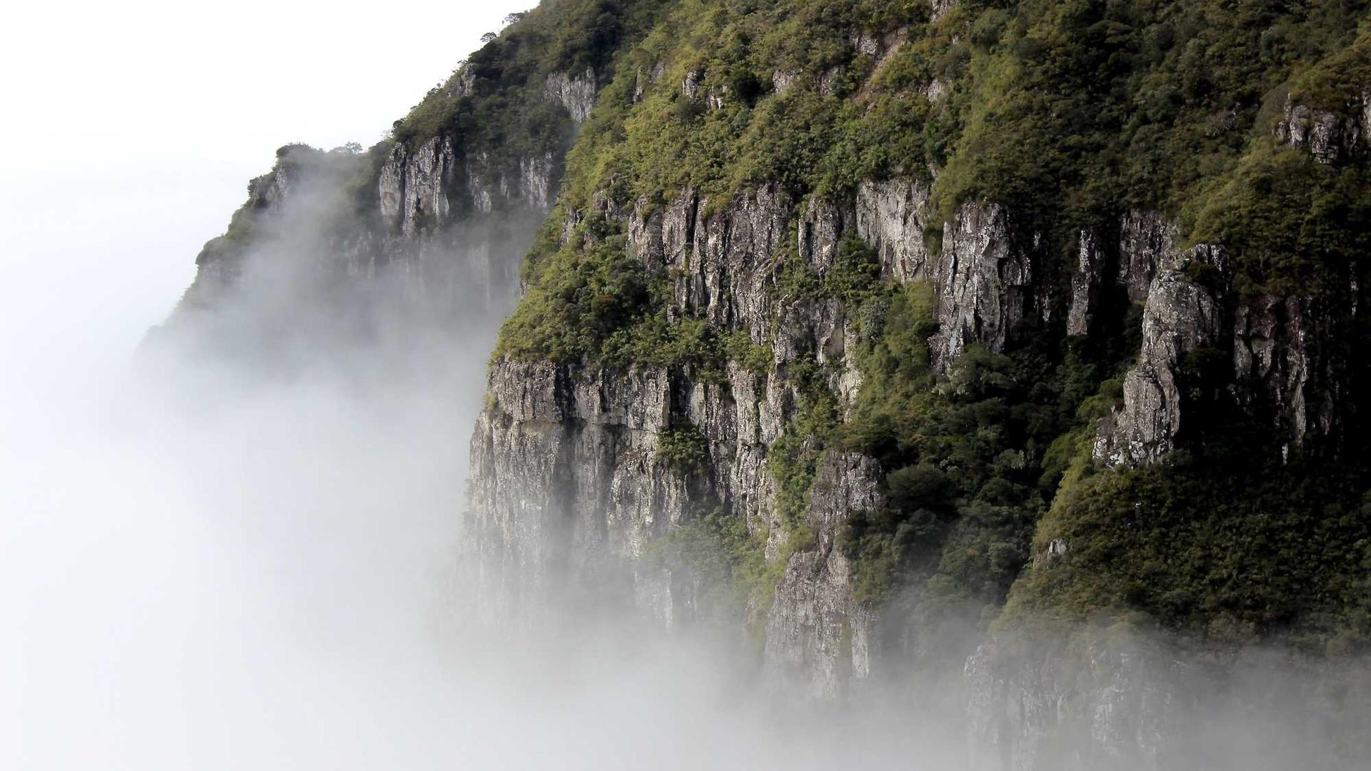 Random image from Lorem Picsum