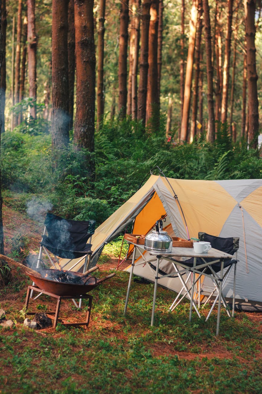 A serene camping scene in a forest with a tent and bonfire. Perfect for outdoor adventure enthusiasts.