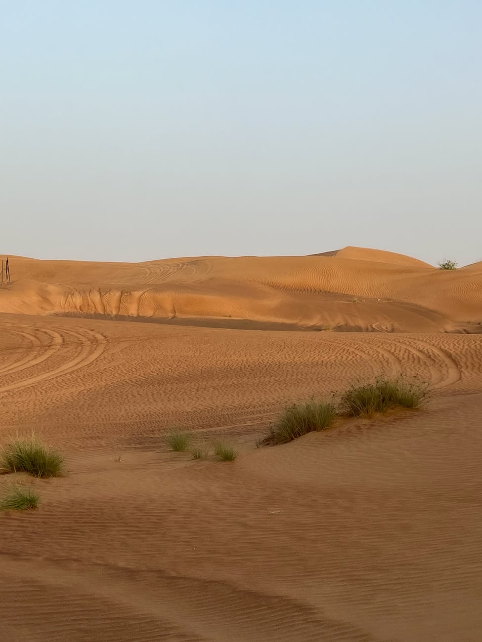 Peaceful desert scene with sunlit sand dunes under a clear sky, showcasing calm beauty.