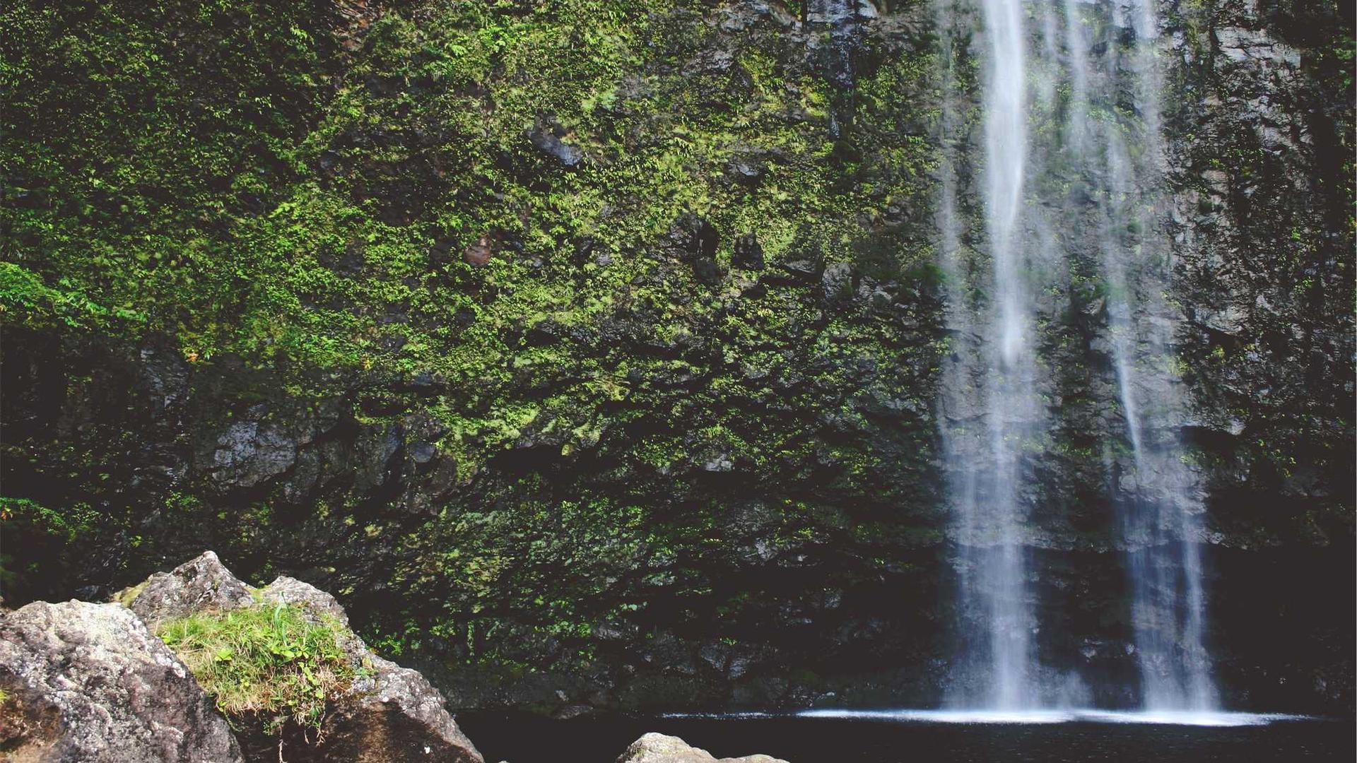 Random image from Lorem Picsum