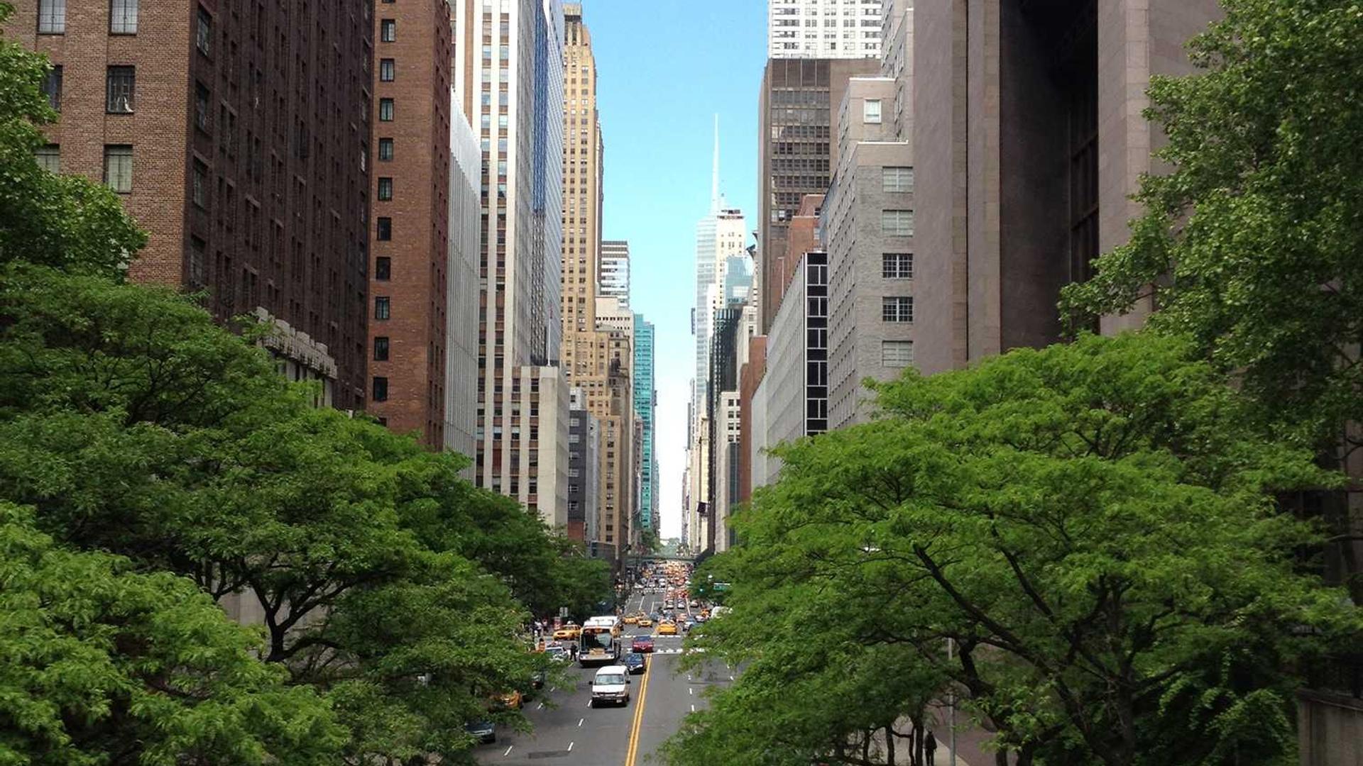 Random image from Lorem Picsum