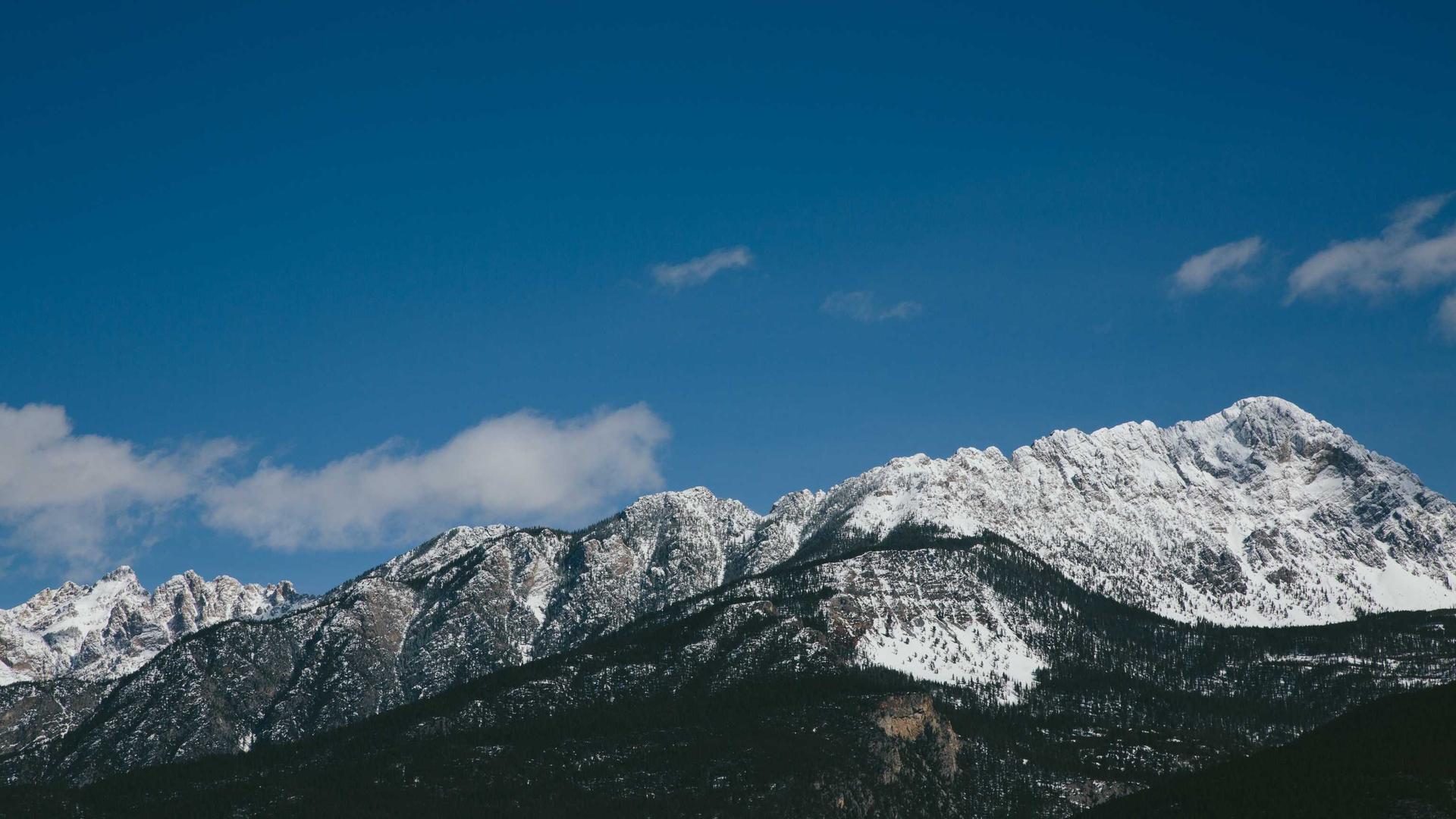 Random image from Lorem Picsum