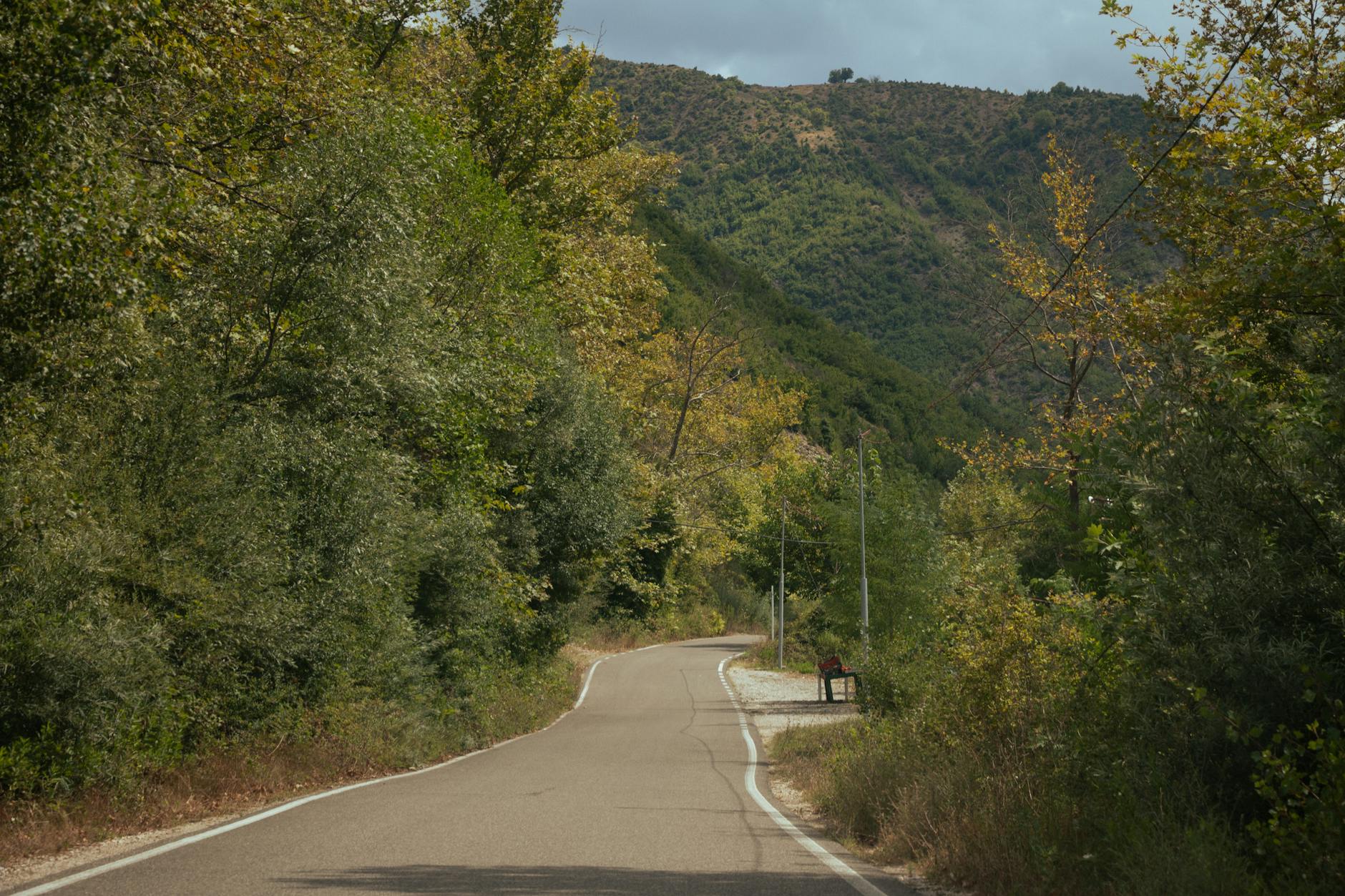 Explore a serene winding road in the lush countryside of Shëngjergj, Albania.