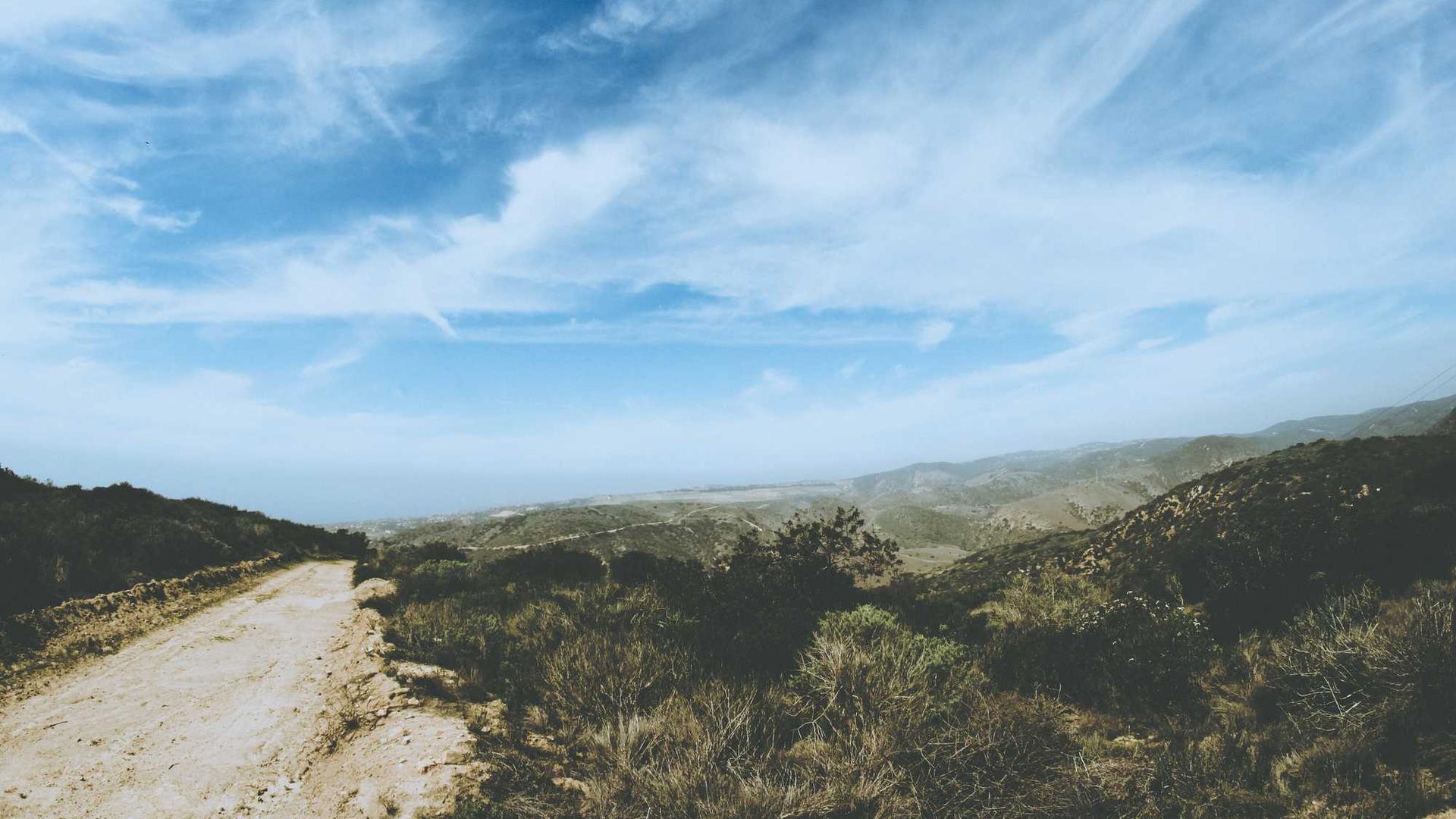 Random image from Lorem Picsum