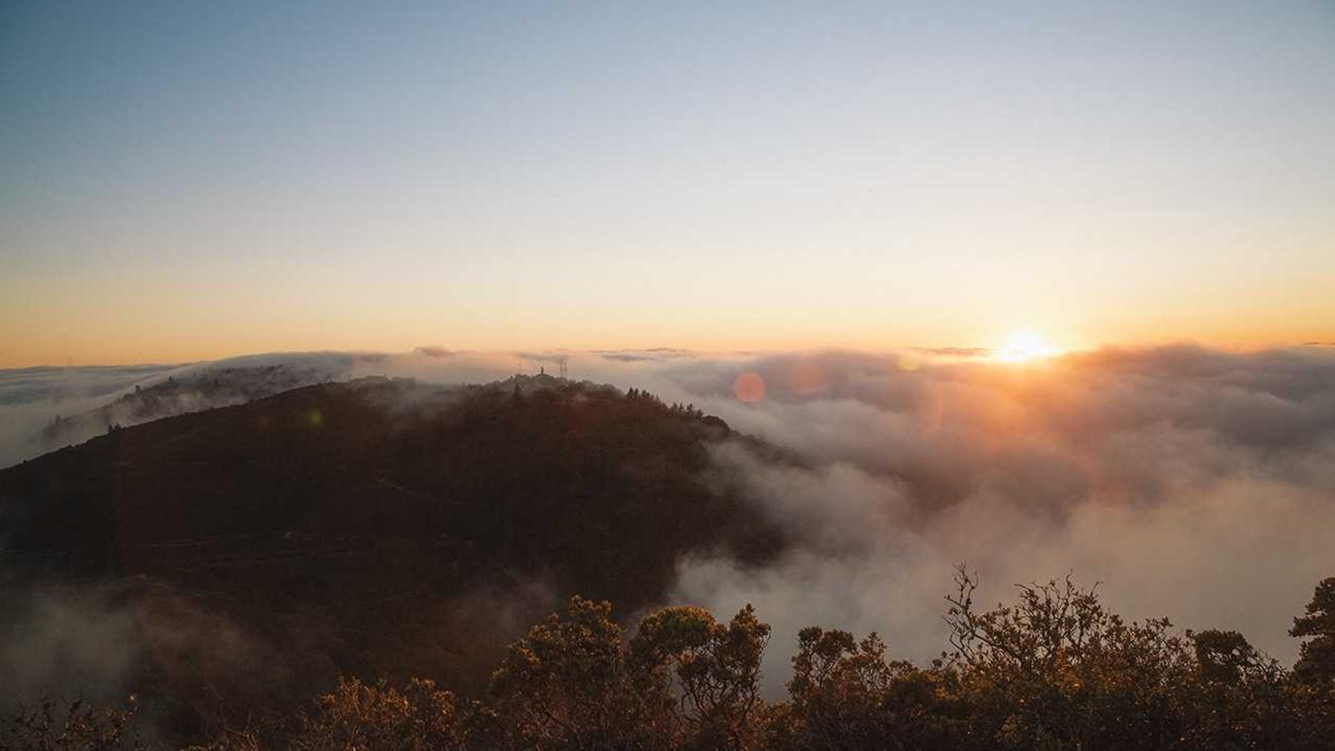 Random image from Lorem Picsum