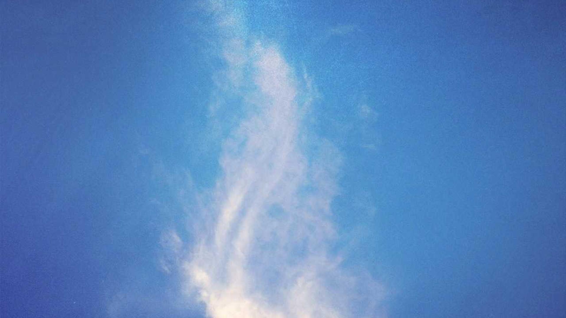 Random image from Lorem Picsum