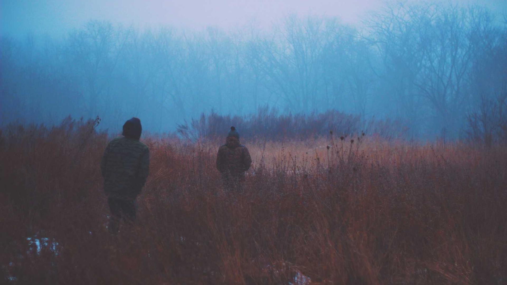 Random image from Lorem Picsum