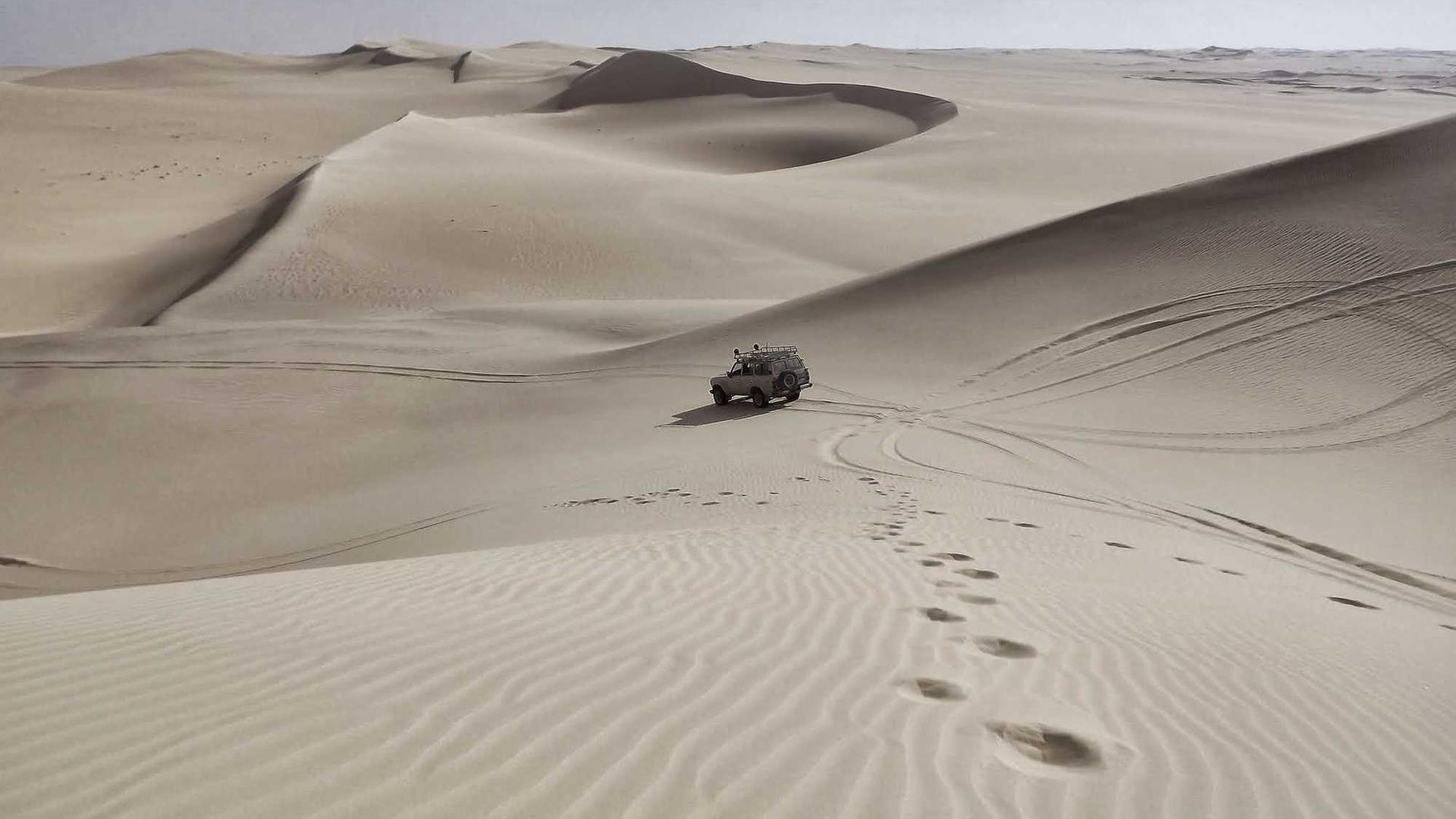 Random image from Lorem Picsum