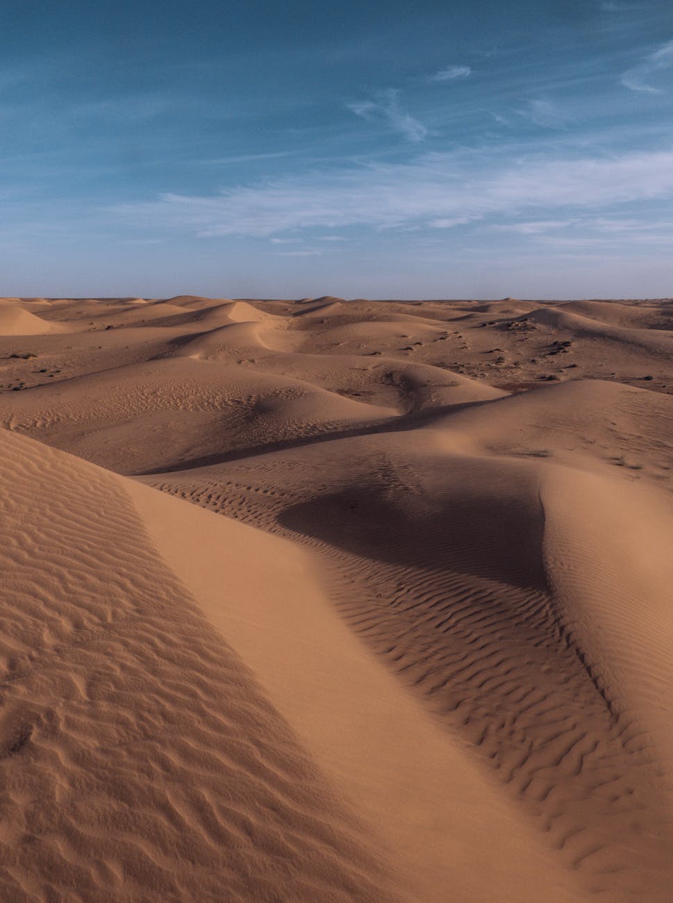 A mesmerizing view of the vast sand dunes under a clear blue sky in the Algerian desert.