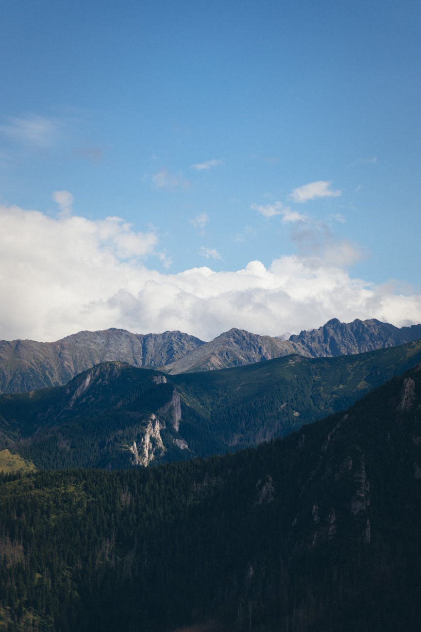 Beautiful view of the Tatra Mountains with lush forests and clear blue sky.
