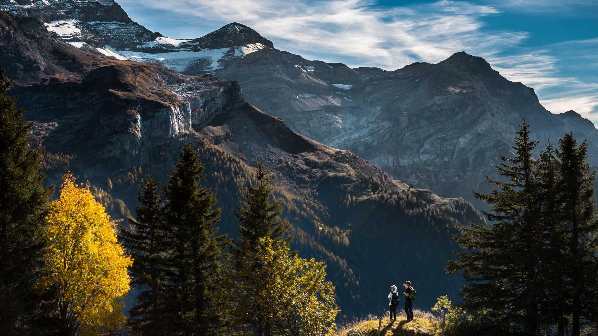 Random image from Lorem Picsum