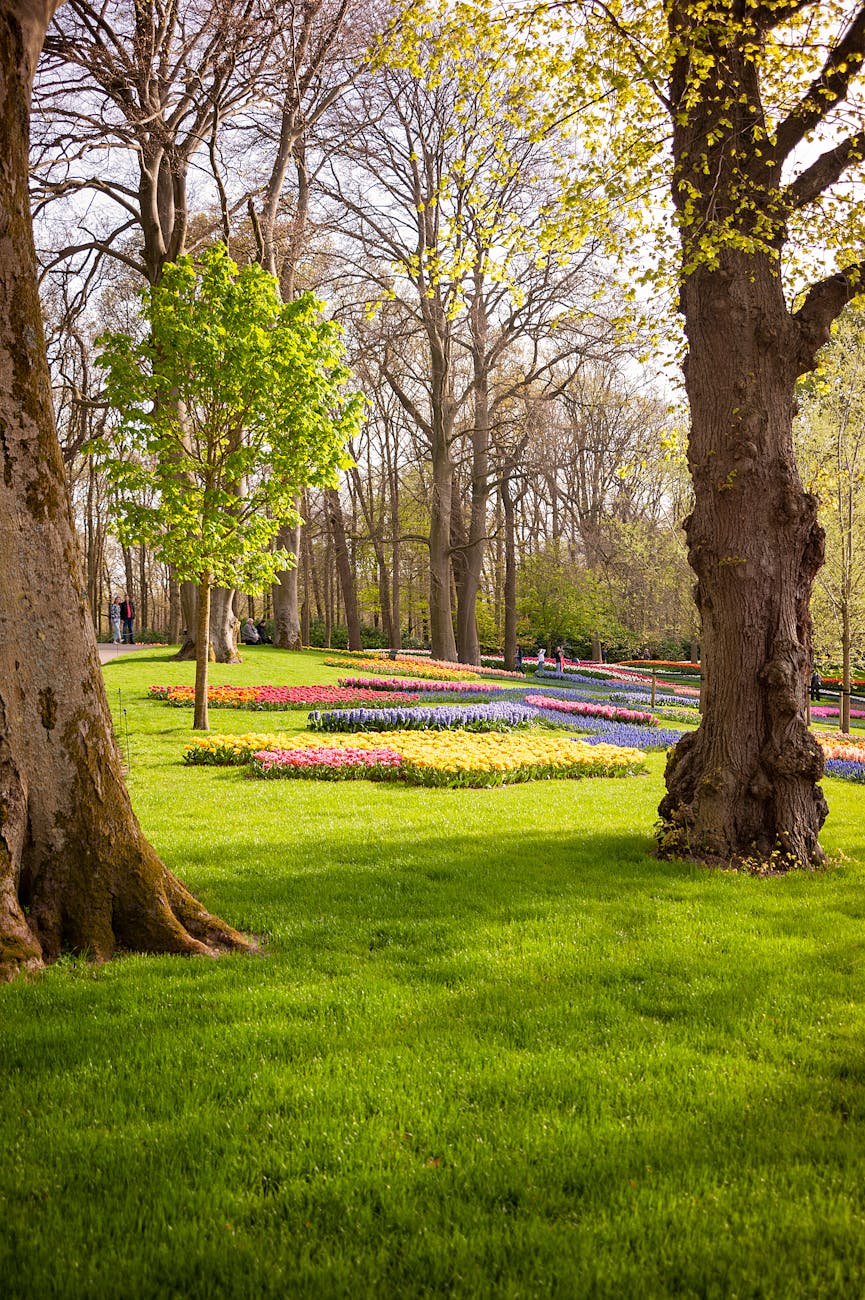 Lush green garden with vibrant flower beds under tall trees in spring morning light.