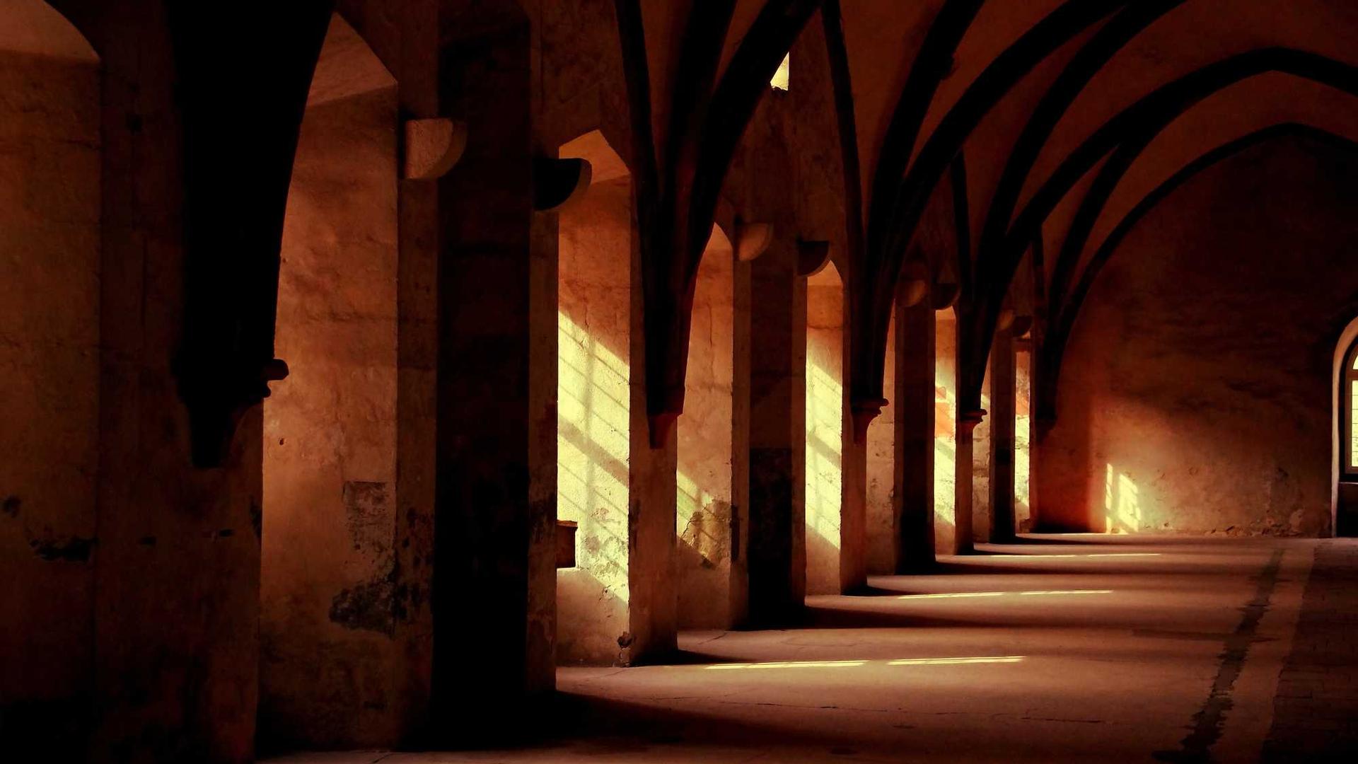 Random image from Lorem Picsum