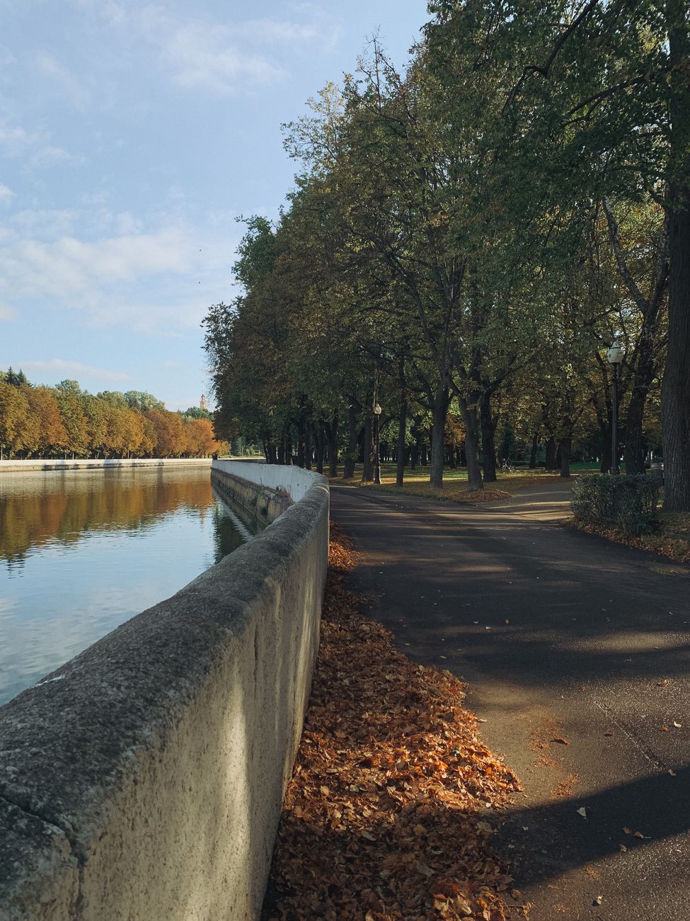 Peaceful autumn riverside path with fallen leaves and trees.
