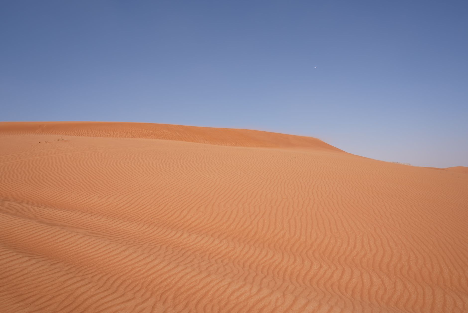Expansive desert sand dunes under a clear blue sky, showcasing nature's beauty.