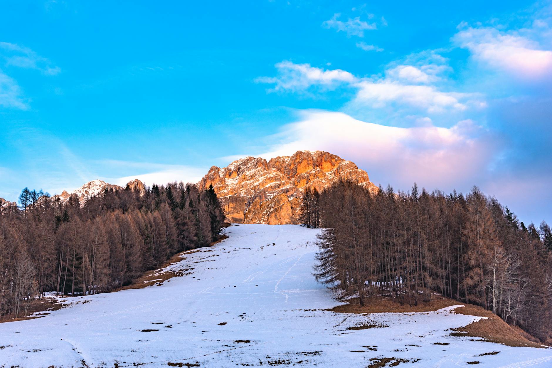 Scenic view of snow-covered trees and mountains in Cortina d'Ampezzo, Italy.