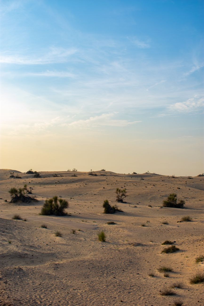 Scenic view of a dry desert landscape with sparse vegetation and clear blue skies.