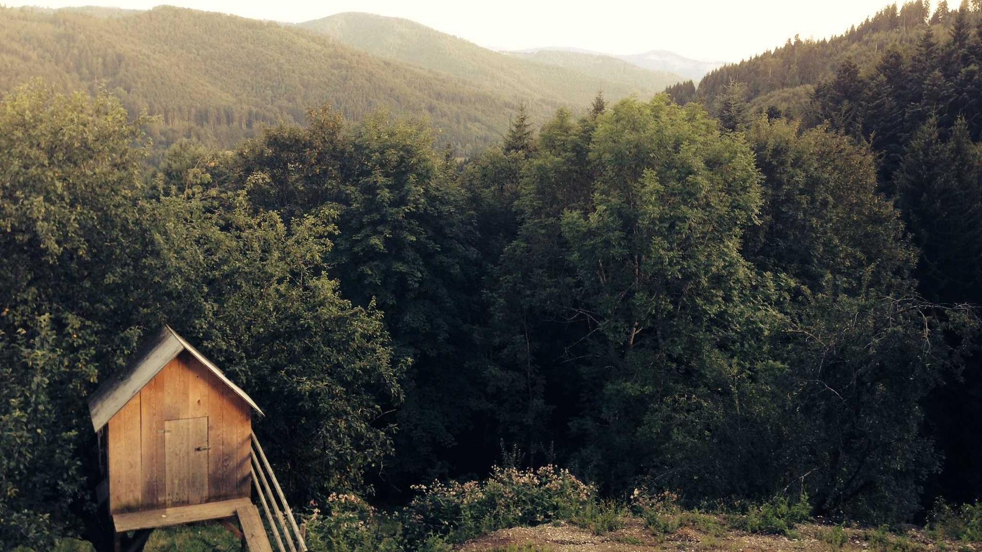 Random image from Lorem Picsum