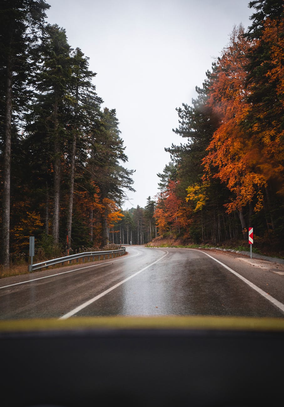 A serene autumn road lined with colorful trees in Bolu, Türkiye, perfect for fall travel inspiration.