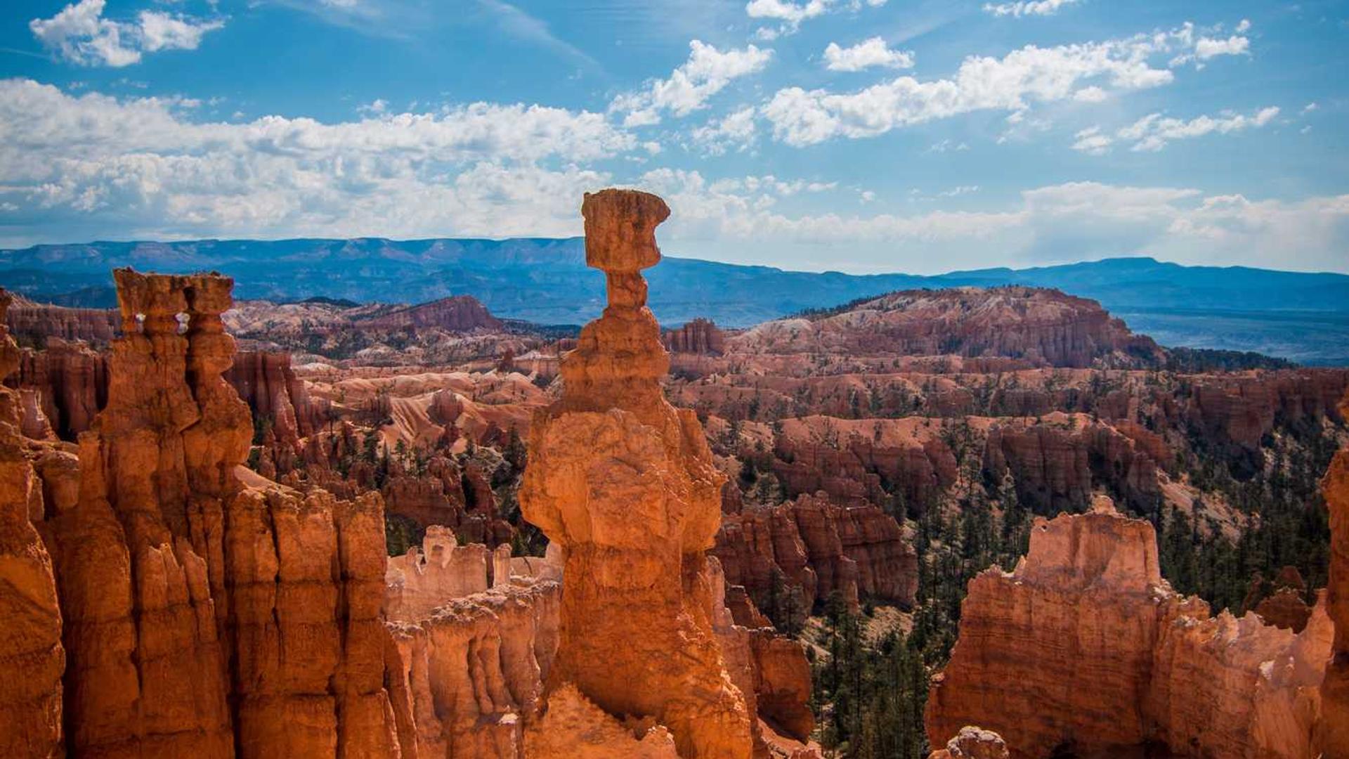 Random image from Lorem Picsum