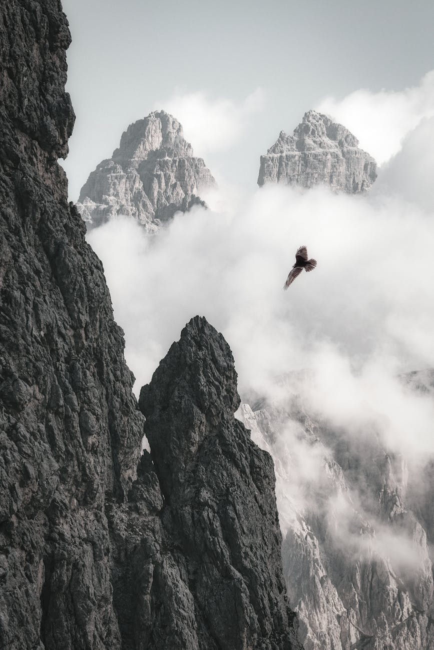 A bird soars near rocky mountain peaks shrouded in misty clouds, capturing nature's grandeur.