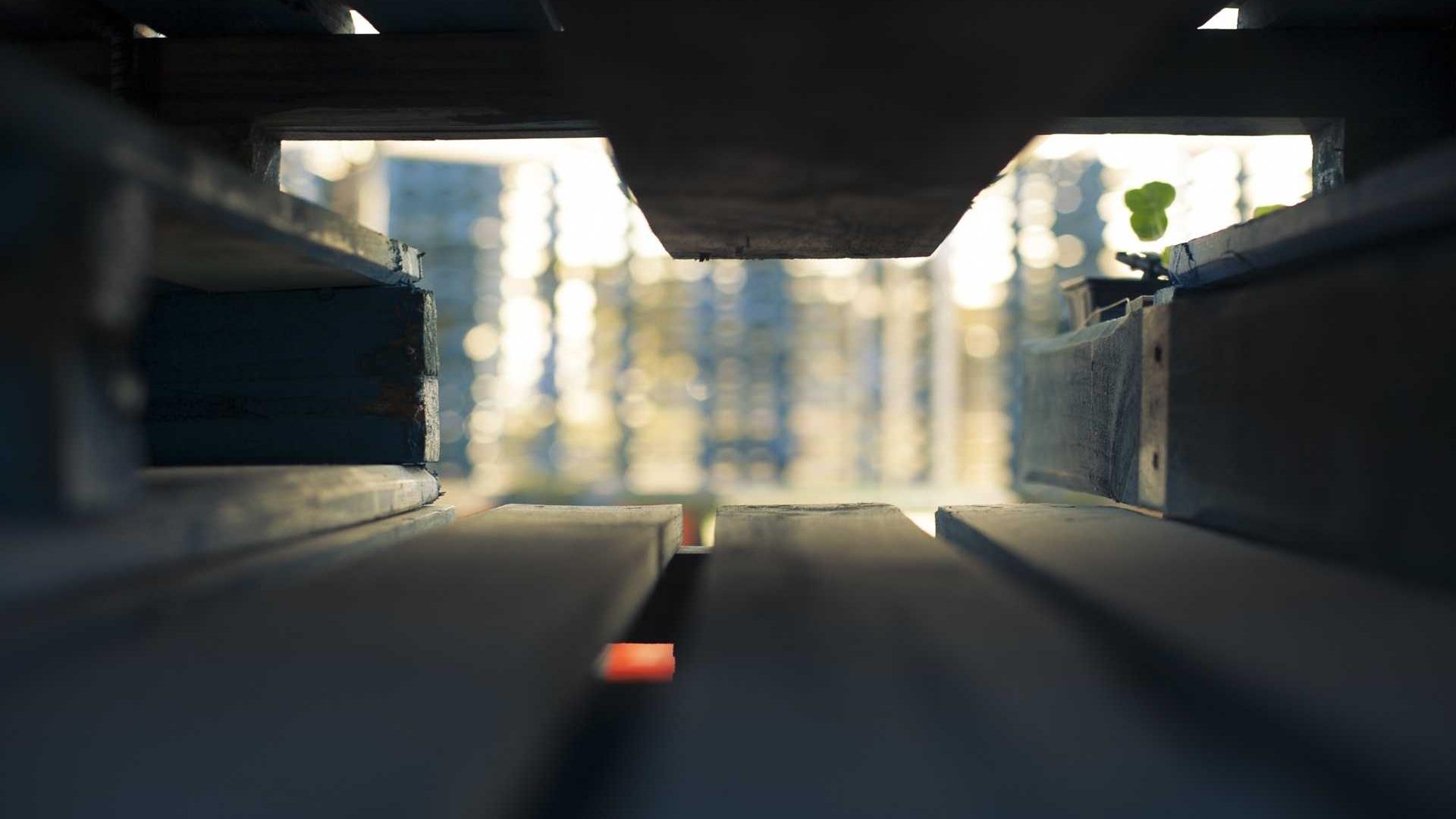 Random image from Lorem Picsum