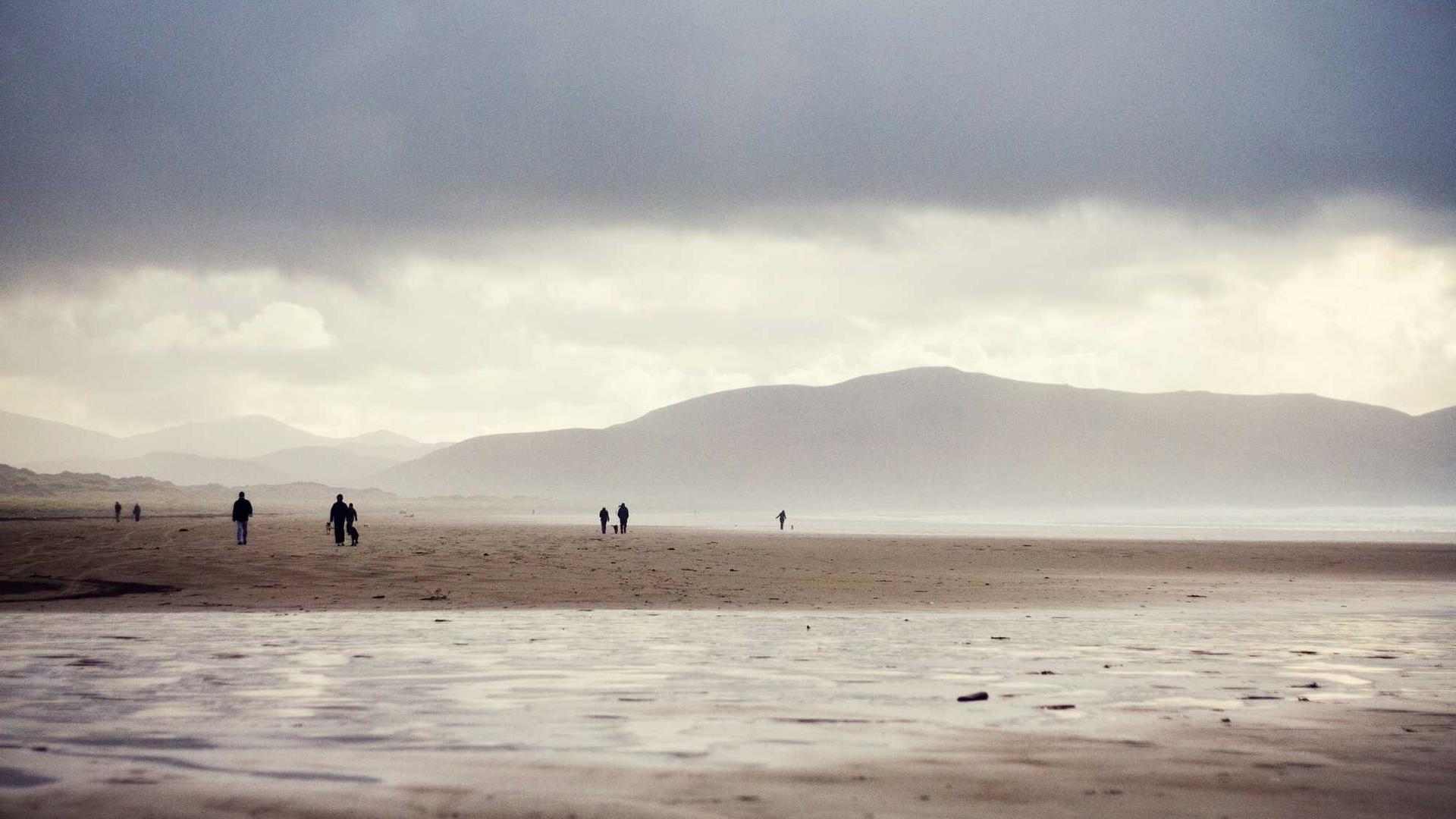 Random image from Lorem Picsum