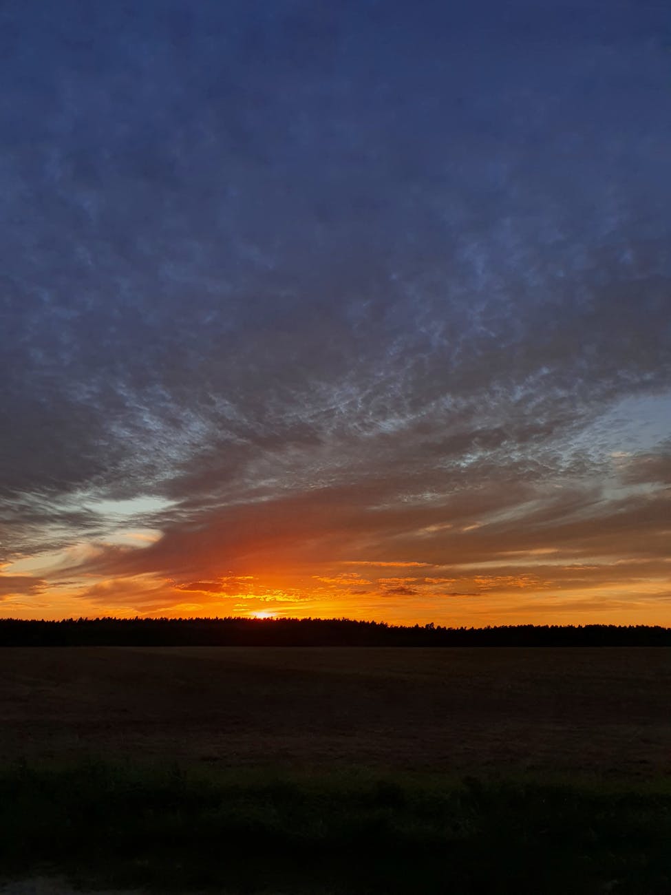 Dramatic sunset with vibrant hues over an open field, perfect for nature enthusiasts.