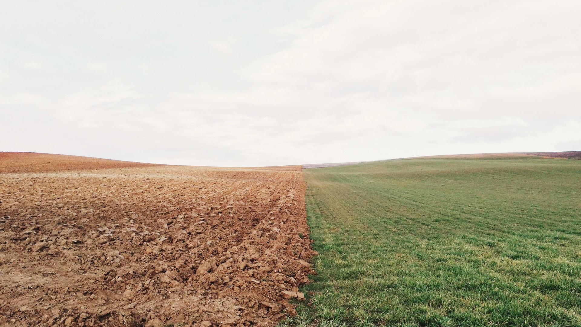 Random image from Lorem Picsum