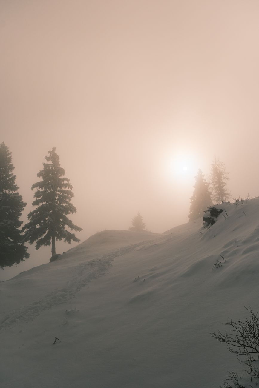 A serene winter scene with snow-covered hills and sunrise through fog.