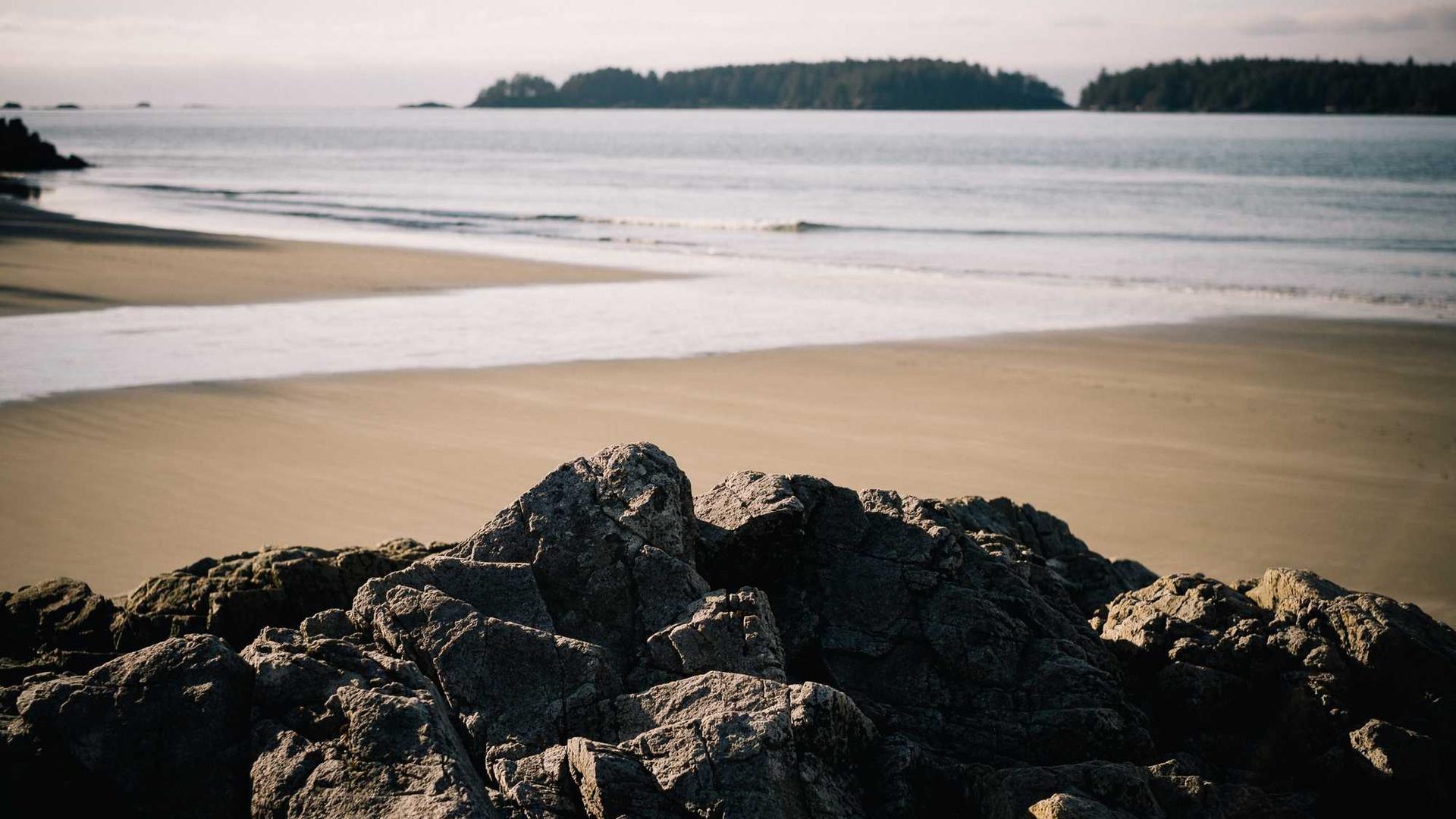 Random image from Lorem Picsum