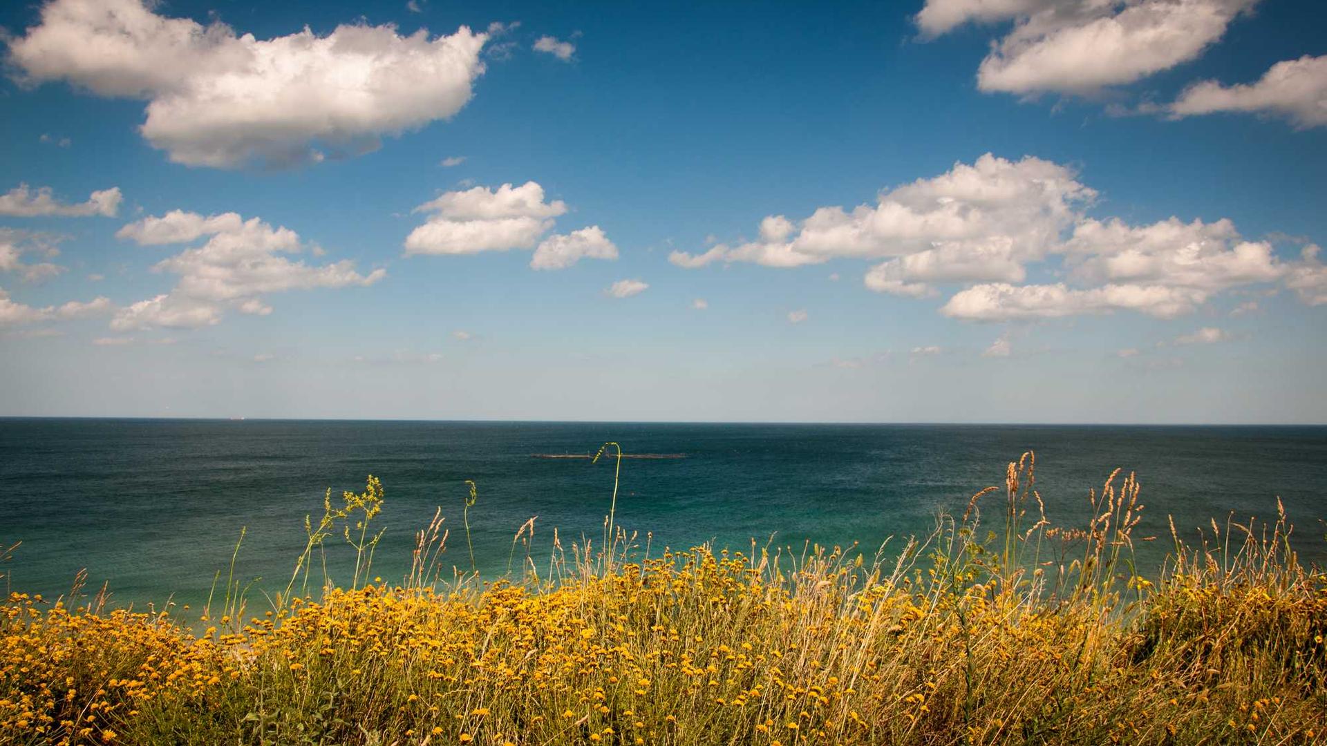 Random image from Lorem Picsum