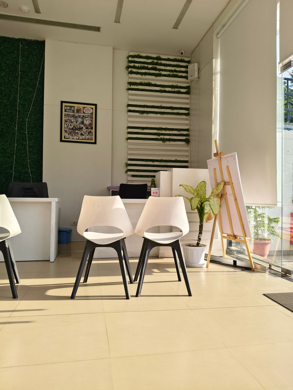 Bright and stylish office space featuring modern chairs, greenery, and natural light.