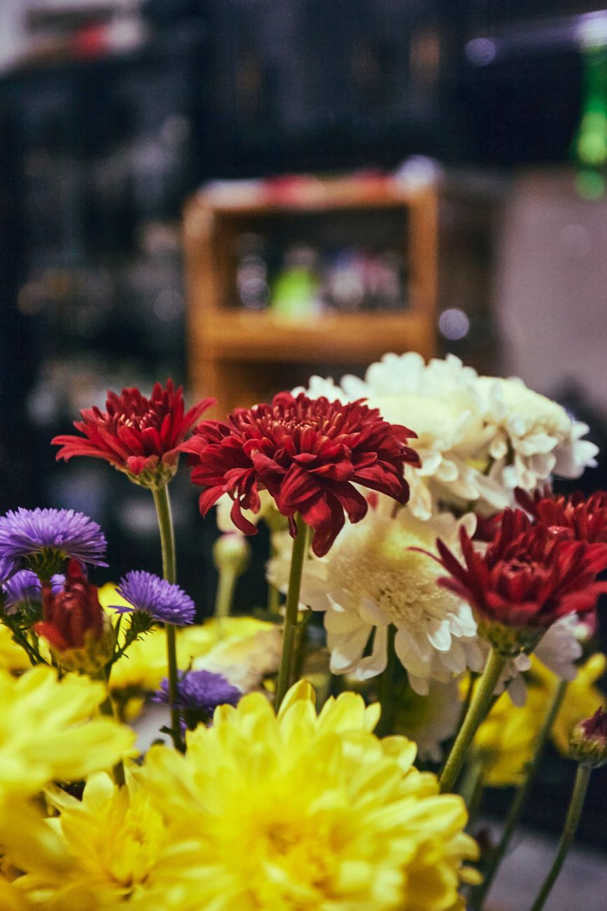 Close-up of a colorful chrysanthemum bouquet indoors with a warm and inviting atmosphere.