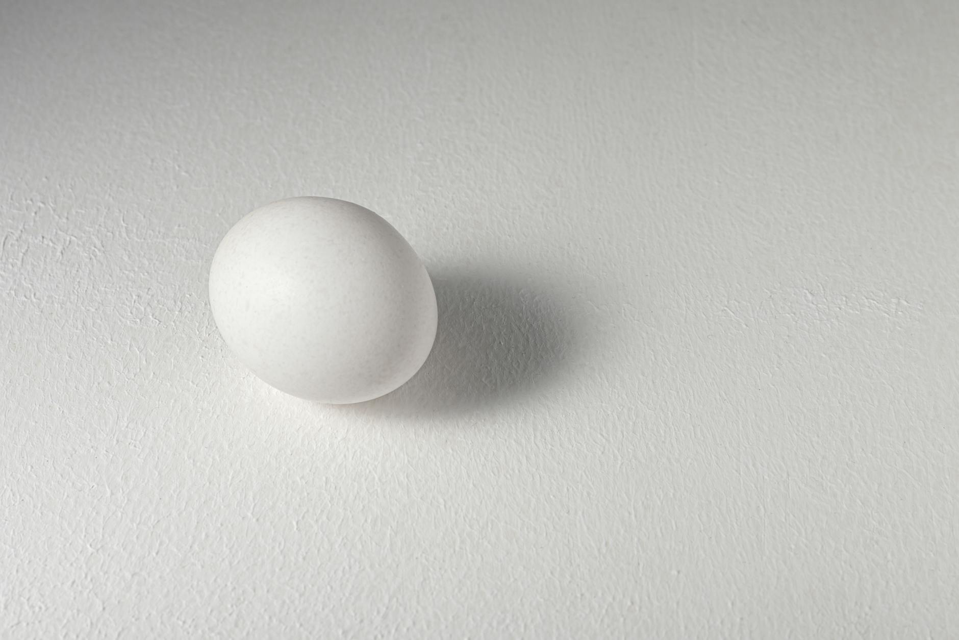 A single white egg placed on a textured gray surface, casting a soft shadow.