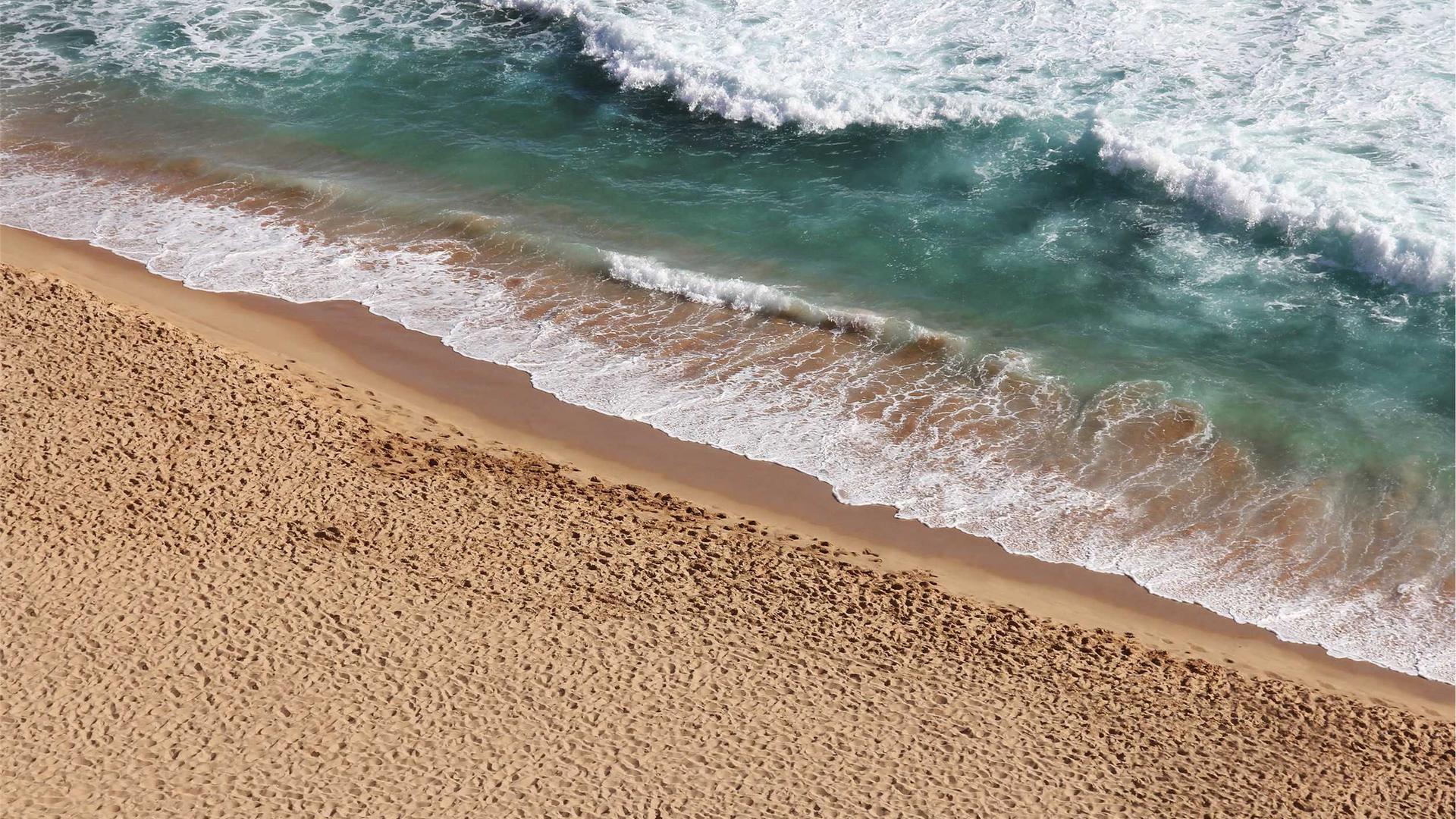 Random image from Lorem Picsum