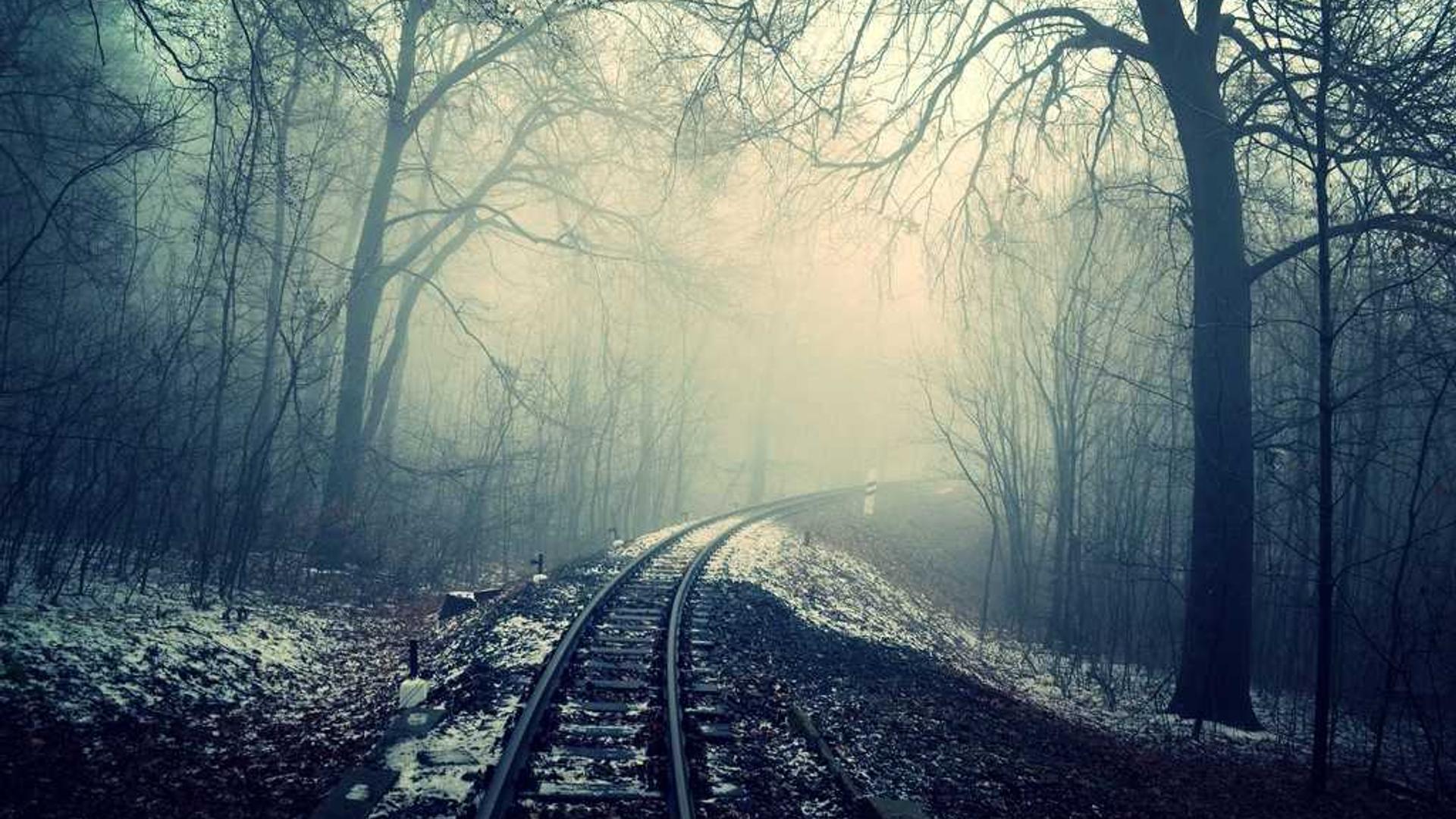 Random image from Lorem Picsum