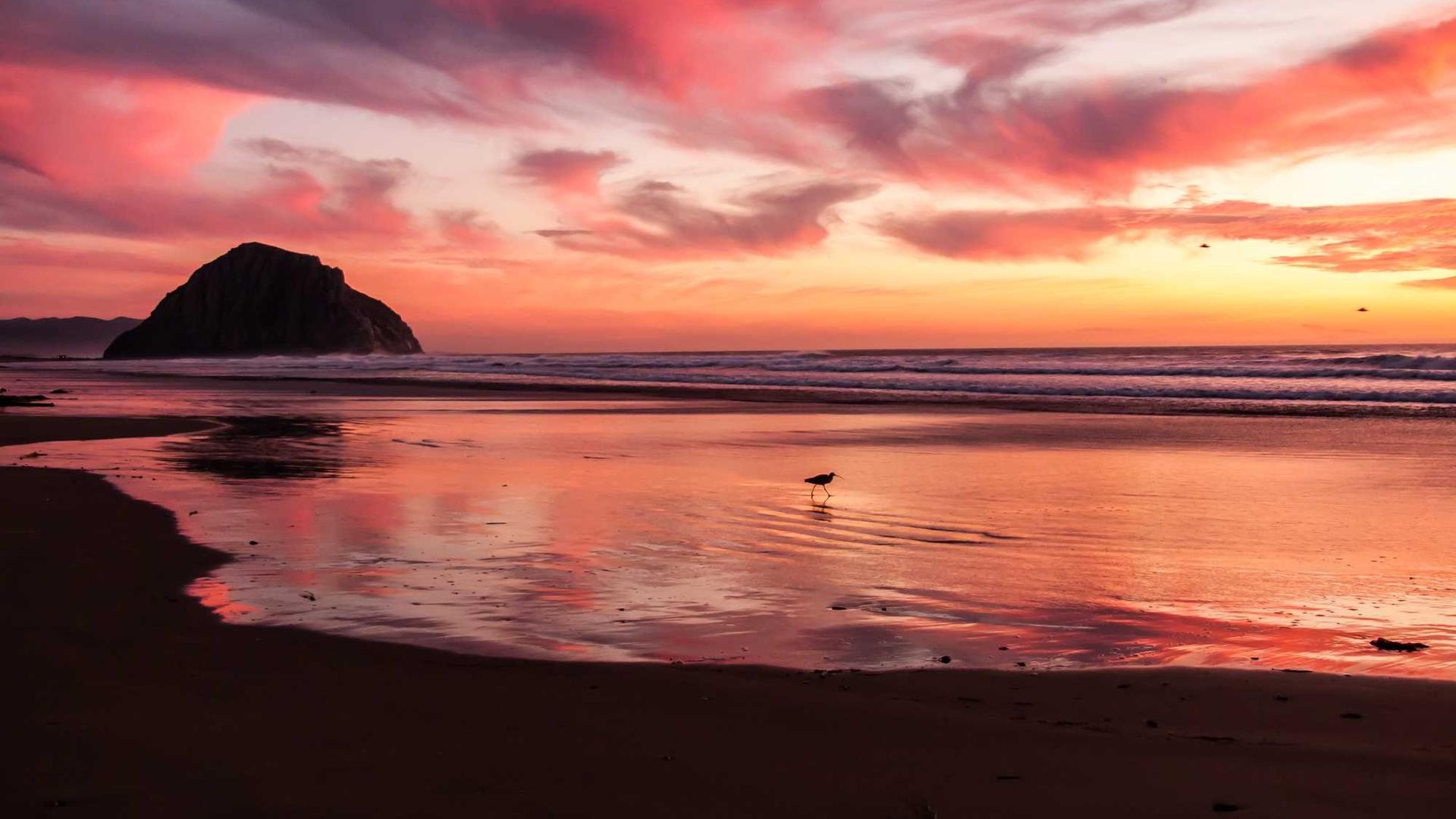 Random image from Lorem Picsum